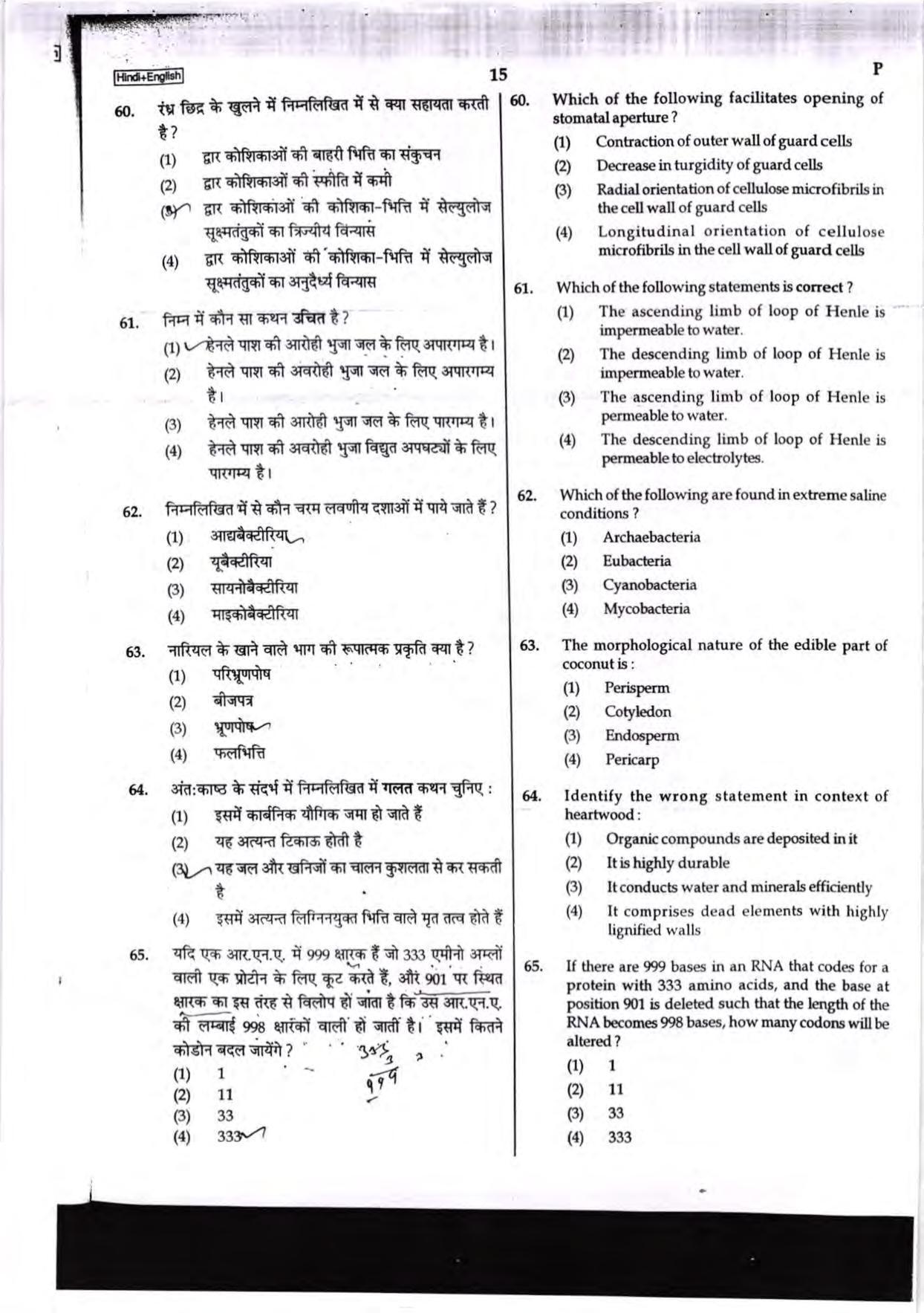NEET Code P 2017 Question Paper - Page 15