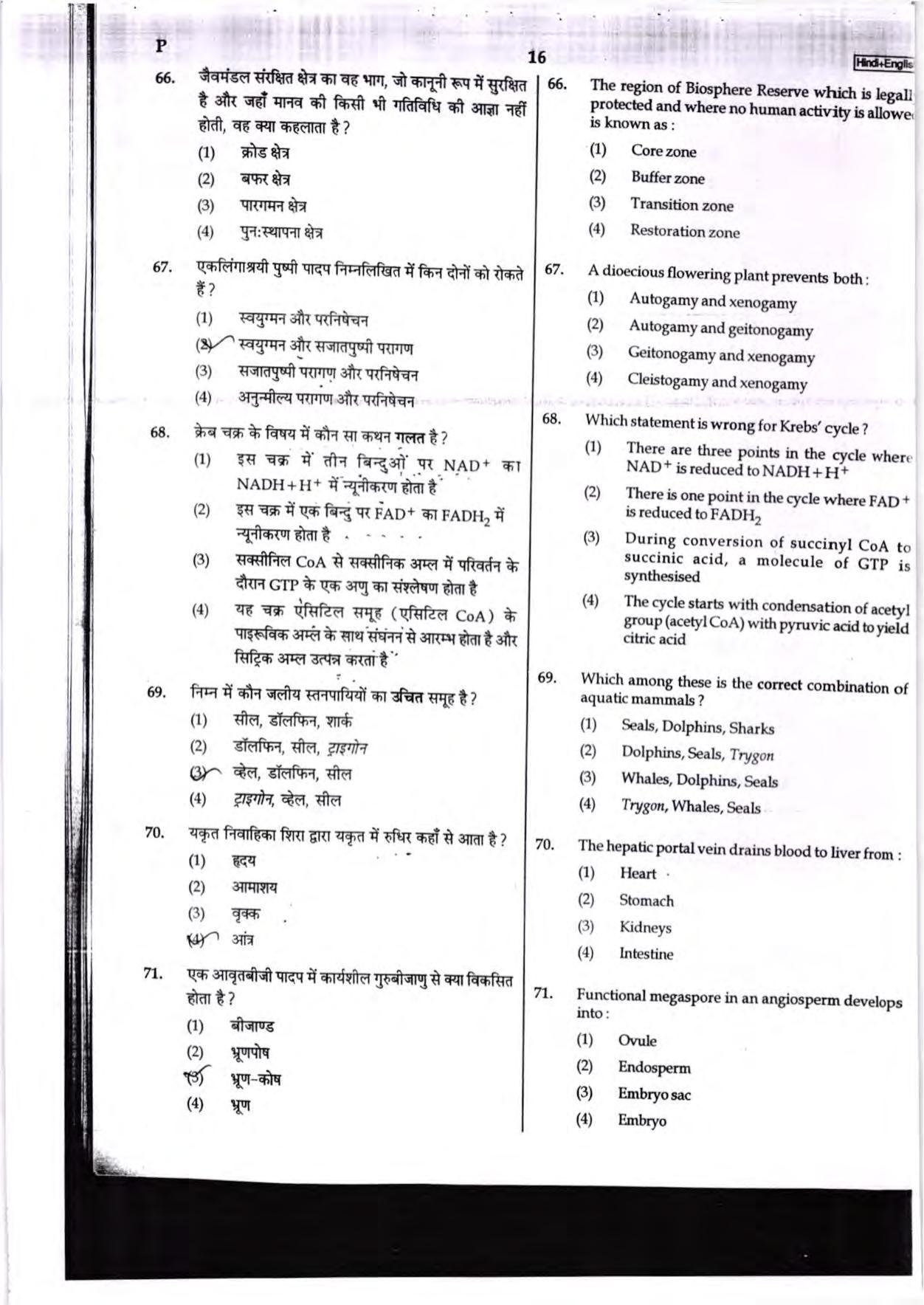 NEET Code P 2017 Question Paper - Page 16