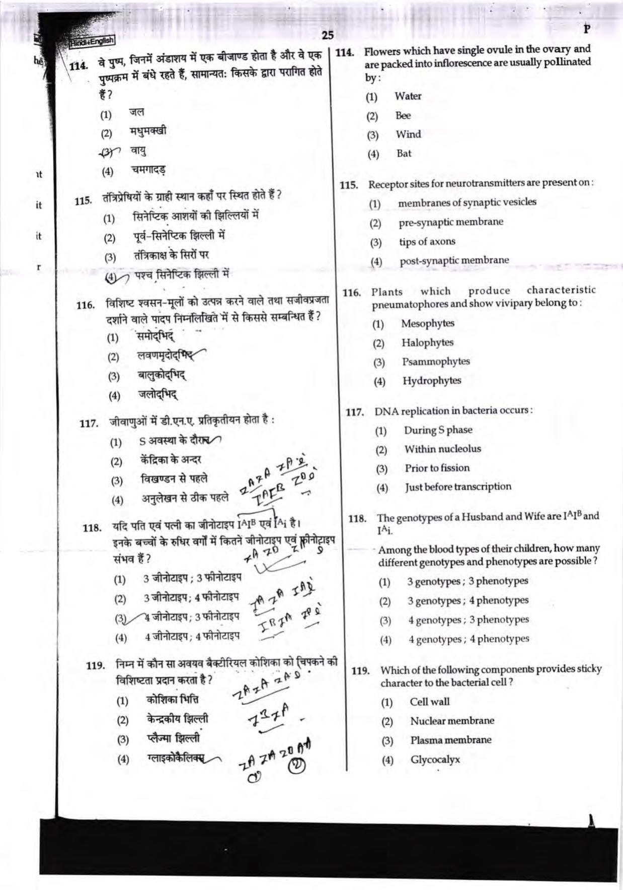 NEET Code P 2017 Question Paper - Page 25