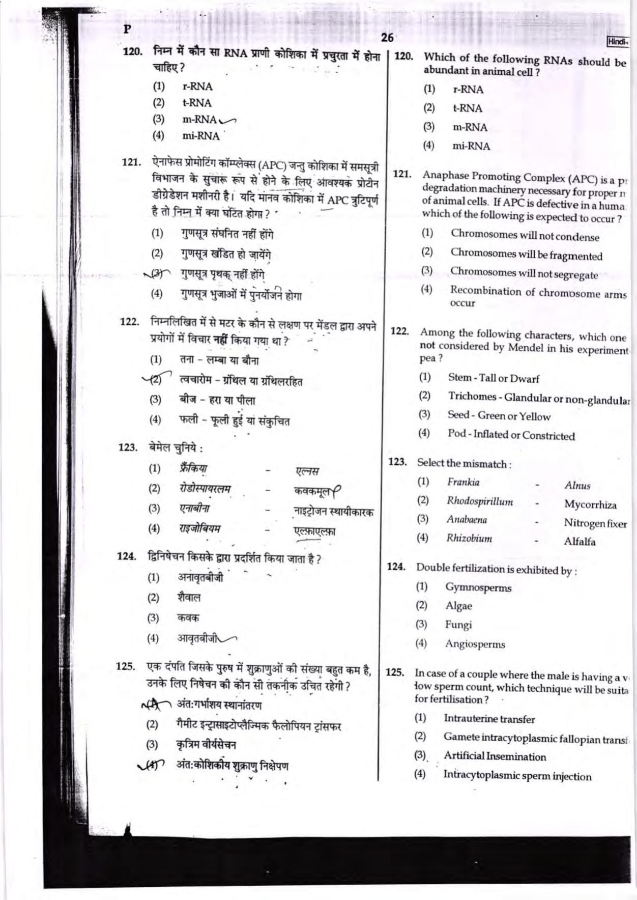 NEET Code P 2017 Question Paper - Page 26
