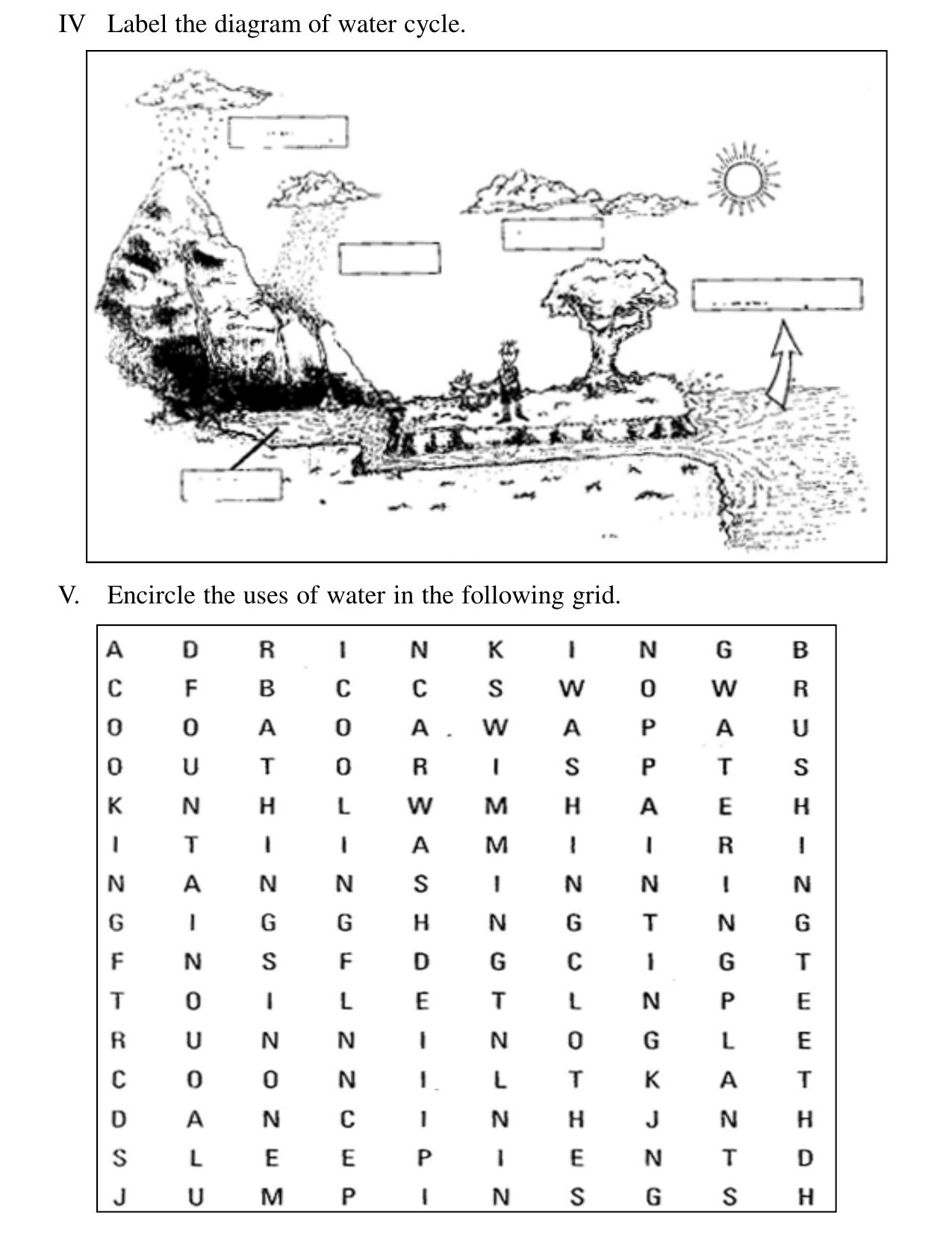 Worksheet for Class 3 EVS Assignment 79 Revision - Page 4
