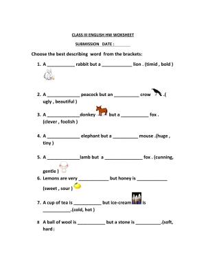 Worksheet for Class 3 English Describing Word Assignment