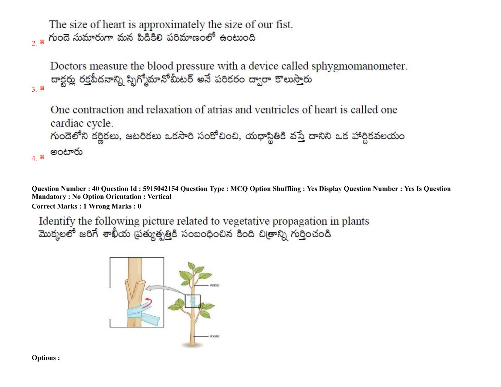 TS EDCET: 25th August 2021 Shift 1 Question Paper & Answer Key - Page 29