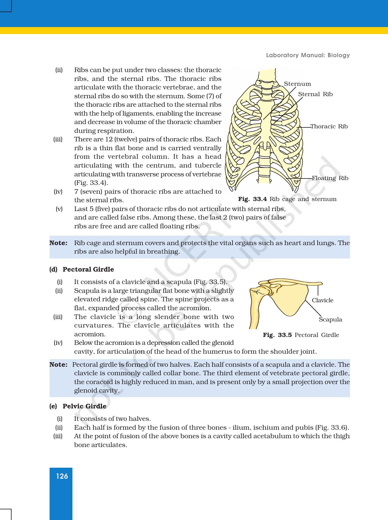 NCERT Laboratory Manuals for Class XI Biology - Exercise 31 to 34 - Page 7
