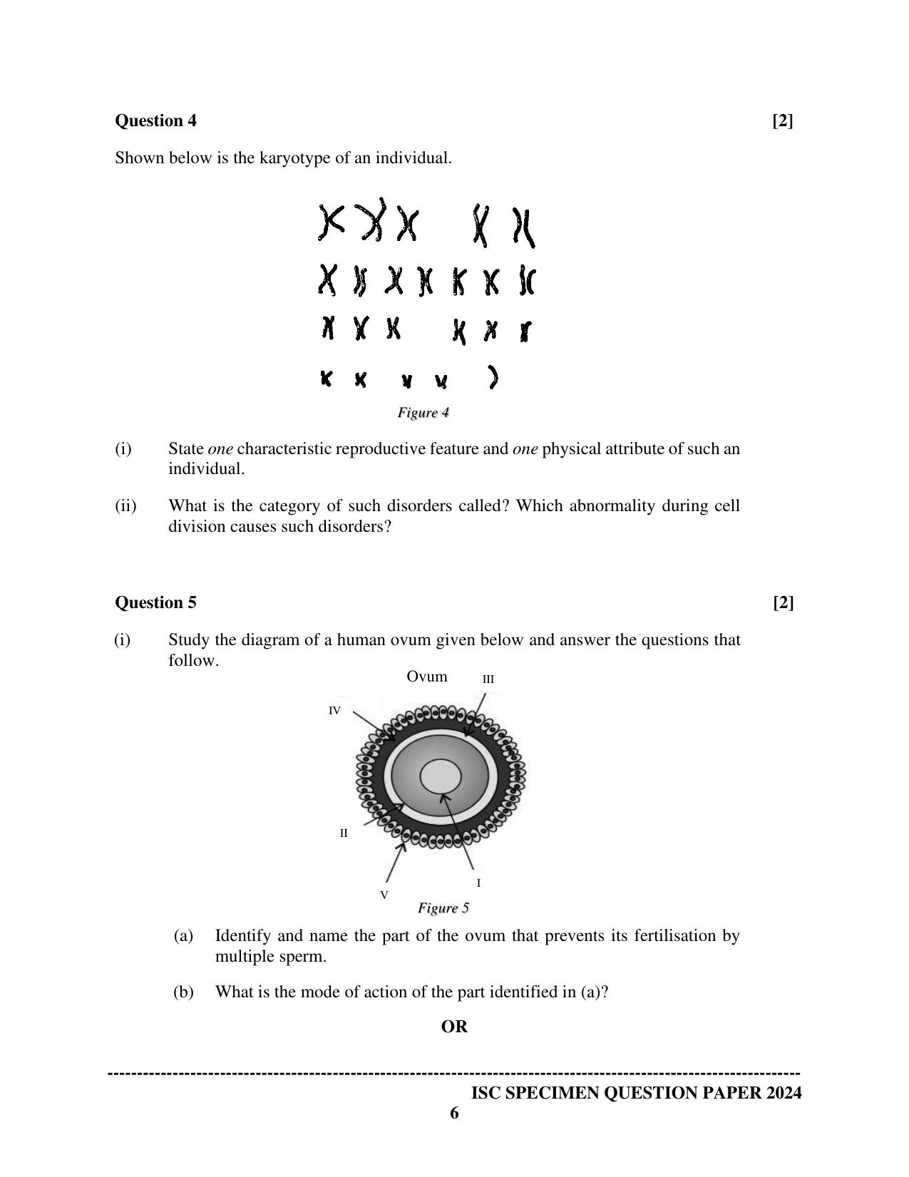 ISC Class 12 2024 Biology Paper 1 Sample Paper - Page 6