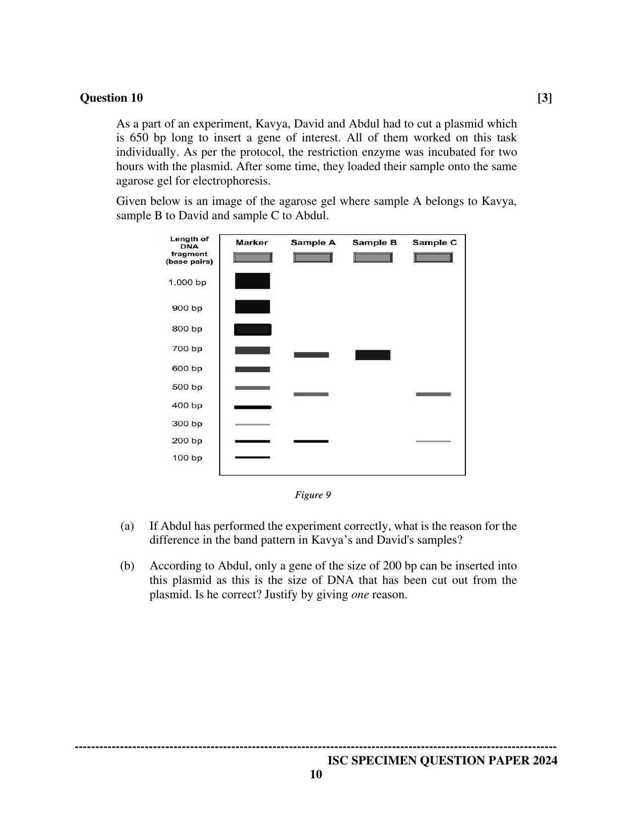 ISC Class 12 2024 Biology Paper 1 Sample Paper - Page 10