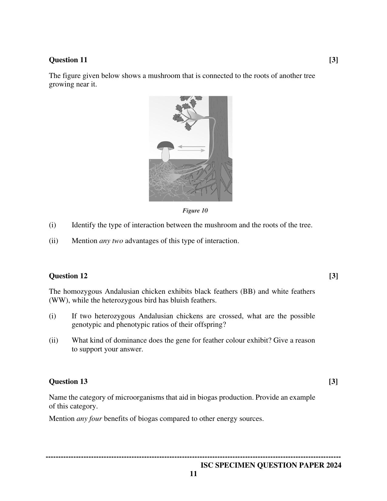 ISC Class 12 2024 Biology Paper 1 Sample Paper - Page 11