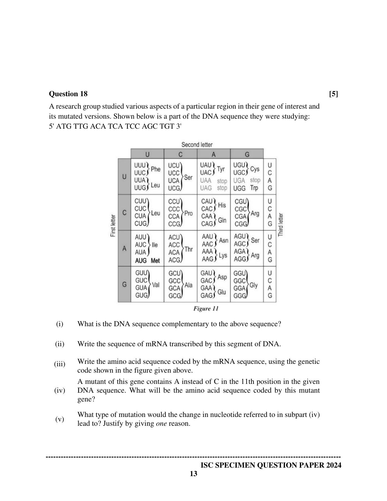 ISC Class 12 2024 Biology Paper 1 Sample Paper - Page 13