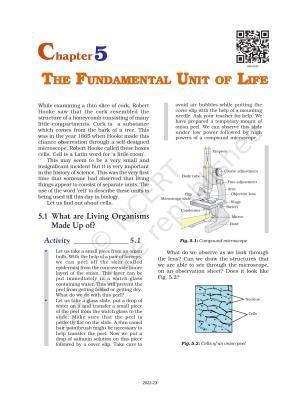 NCERT Book for Class 9 Science Chapter 5 The Fundamental Unit Of Life