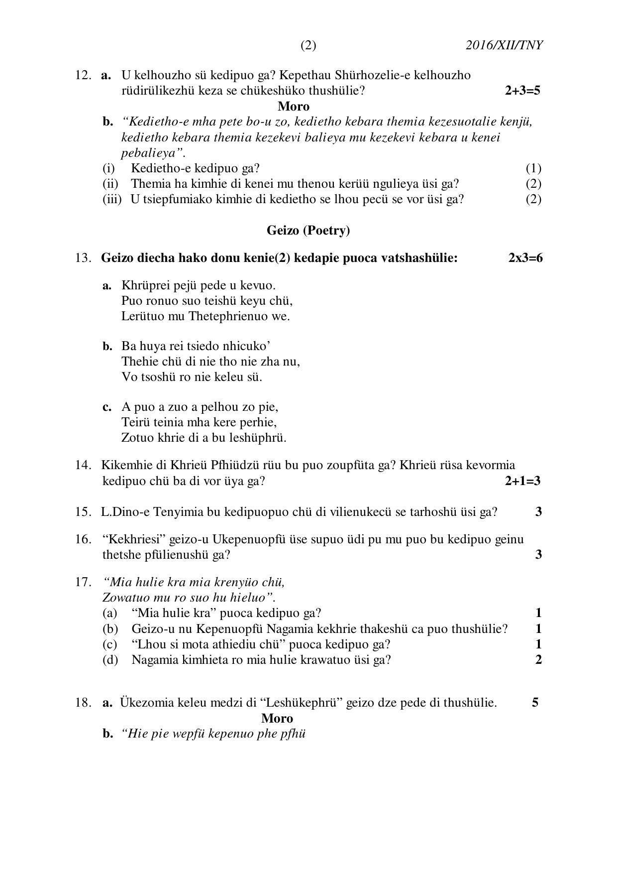 Nagaland Board Class 12 TENYIDIE 2016 Question Papers - Page 2