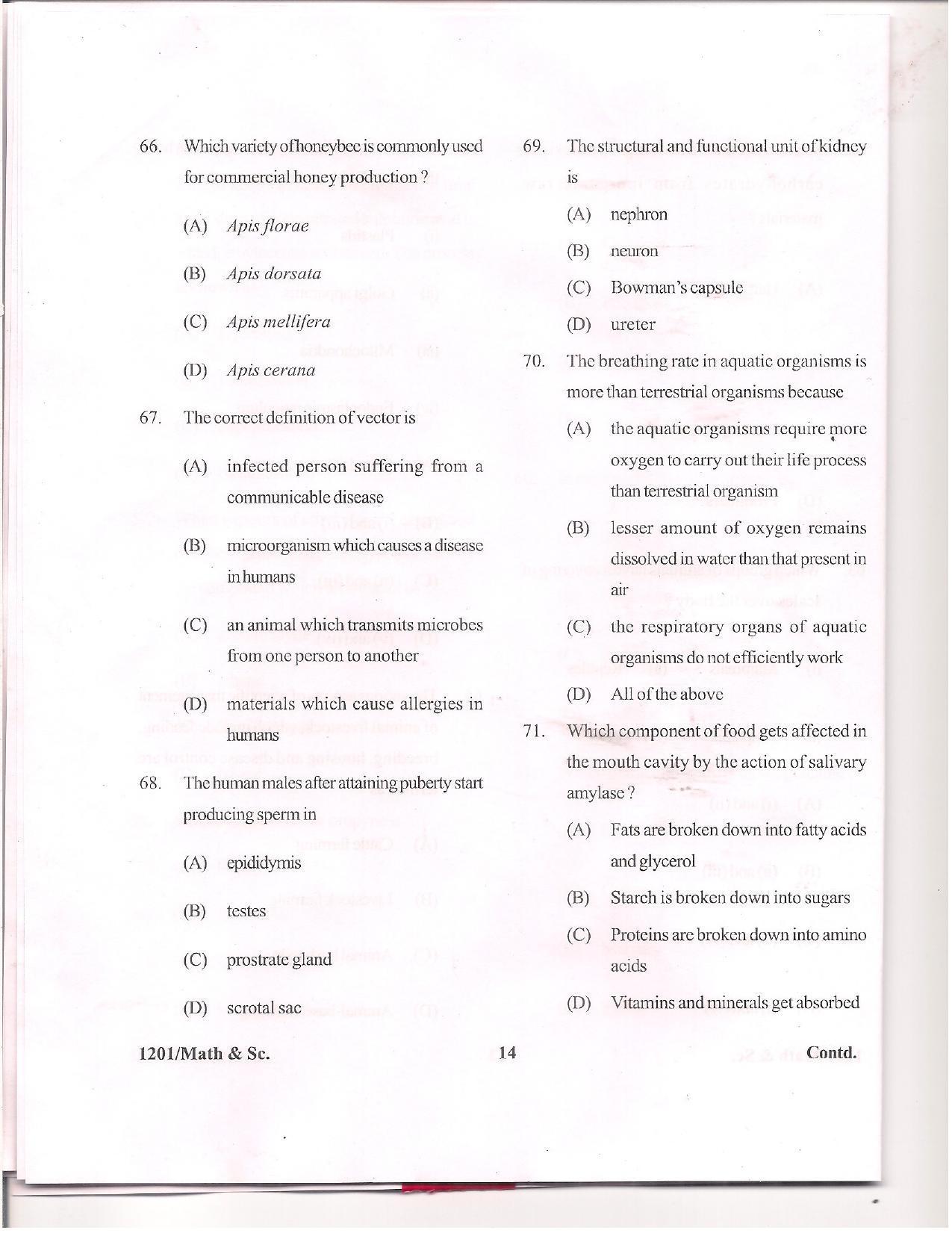 APJEE Mathematics & Science 2012 Question Paper - Page 13
