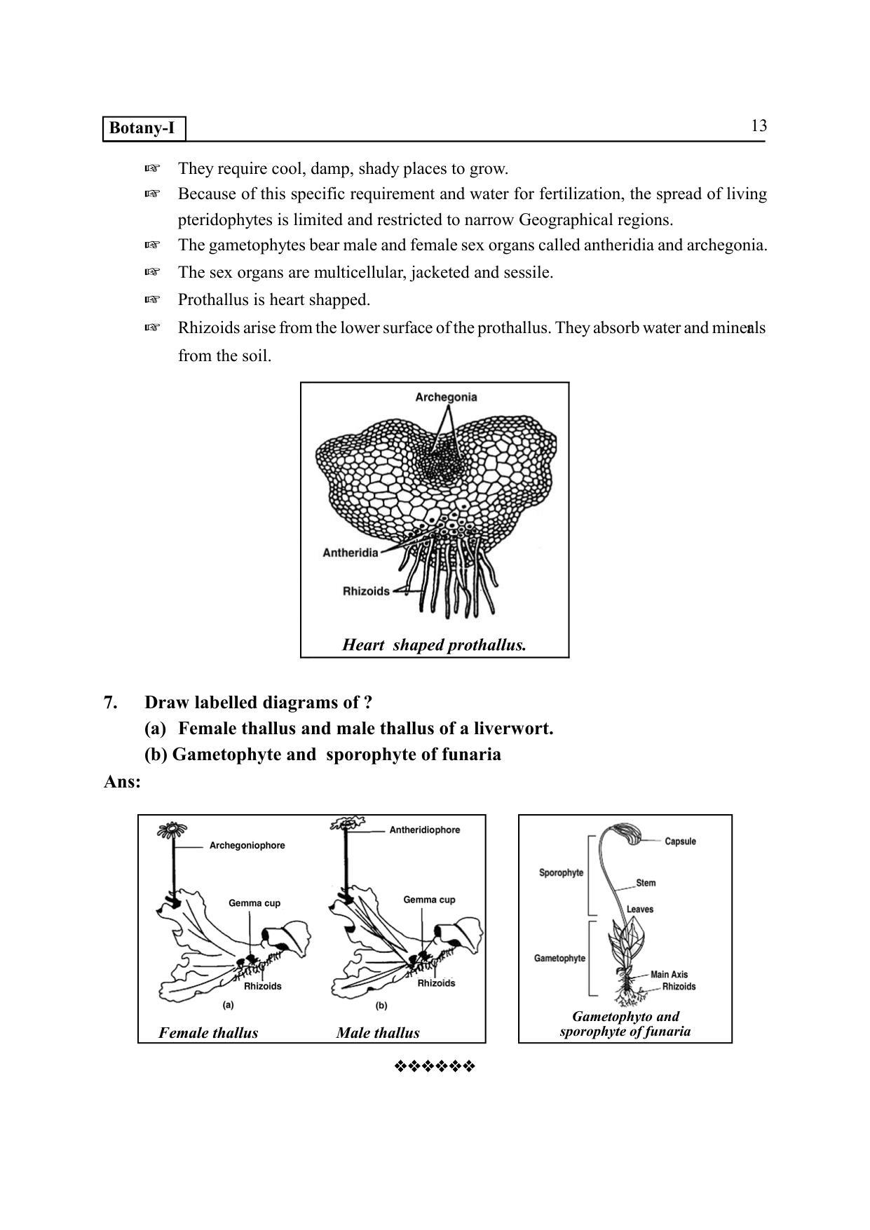TS SCERT Inter 2nd Year Botany I EM Path 1 (Telugu Medium) Text Book - Page 18