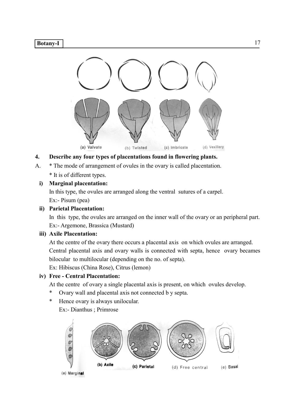TS SCERT Inter 2nd Year Botany I EM Path 1 (Telugu Medium) Text Book - Page 22