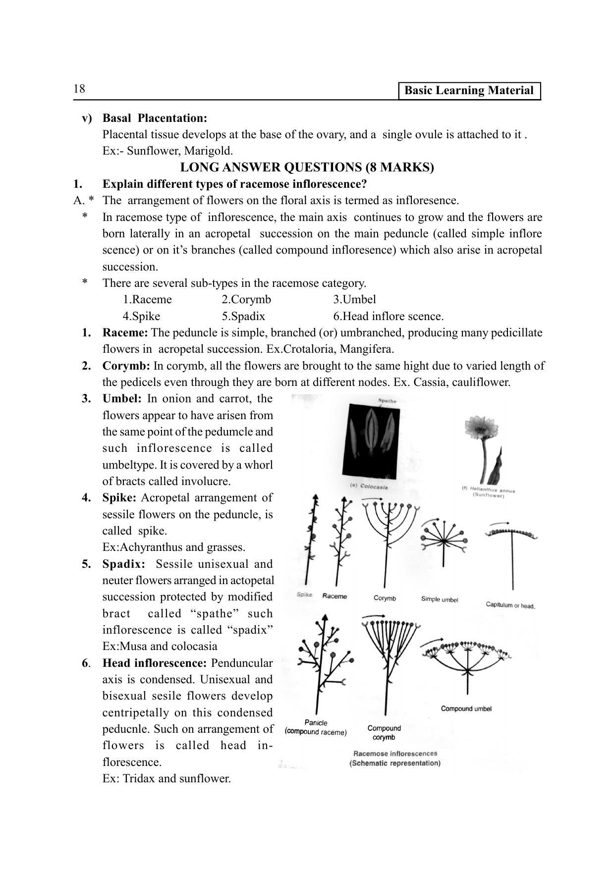 TS SCERT Inter 2nd Year Botany I EM Path 1 (Telugu Medium) Text Book - Page 23