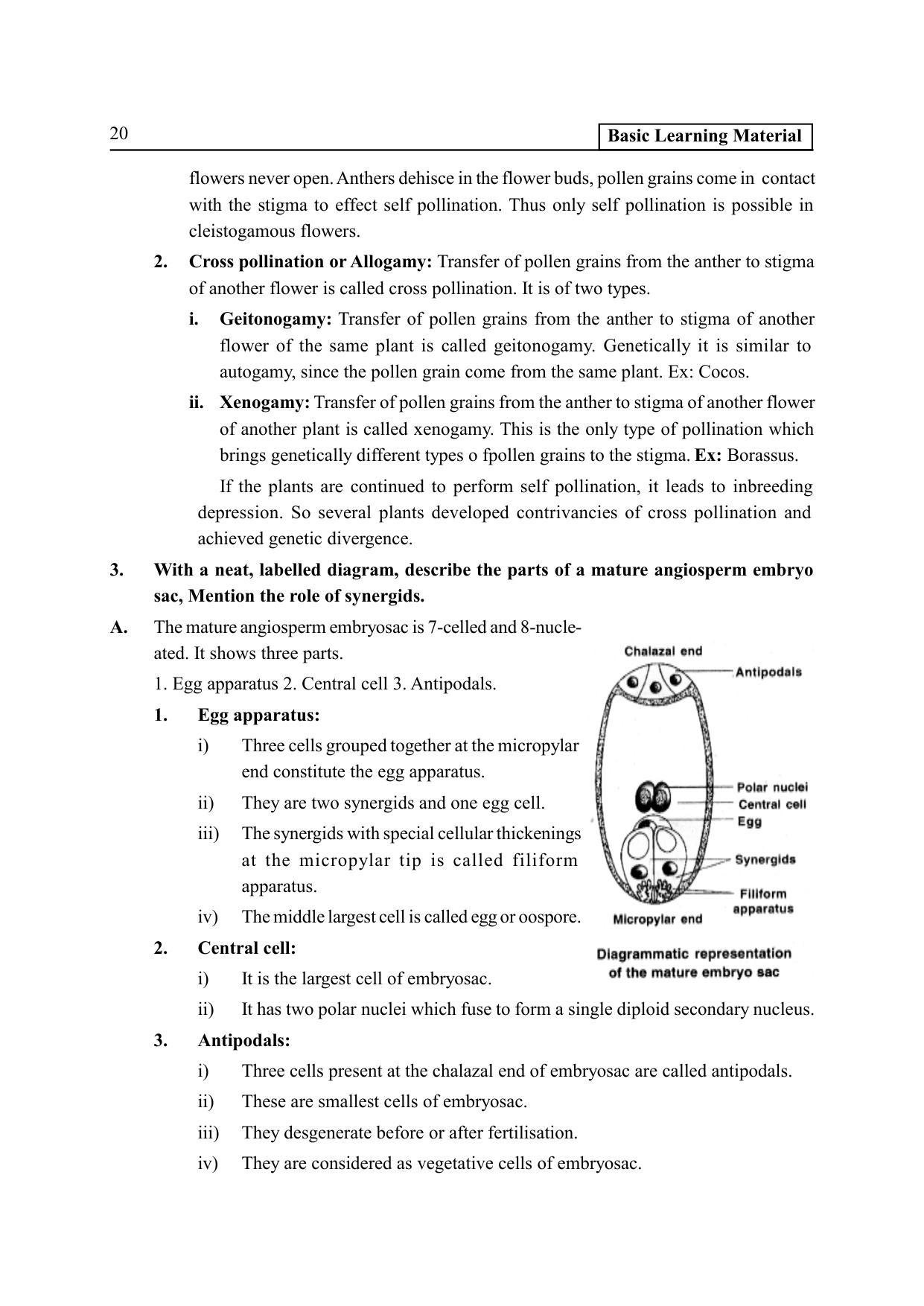 TS SCERT Inter 2nd Year Botany I EM Path 1 (Telugu Medium) Text Book - Page 25