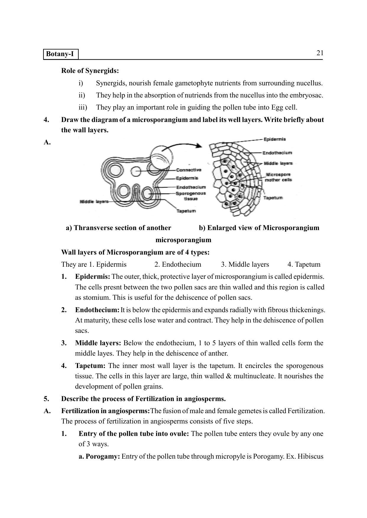 TS SCERT Inter 2nd Year Botany I EM Path 1 (Telugu Medium) Text Book - Page 26