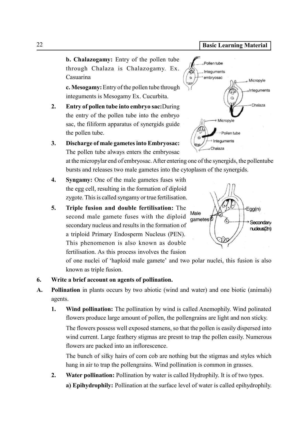 TS SCERT Inter 2nd Year Botany I EM Path 1 (Telugu Medium) Text Book - Page 27