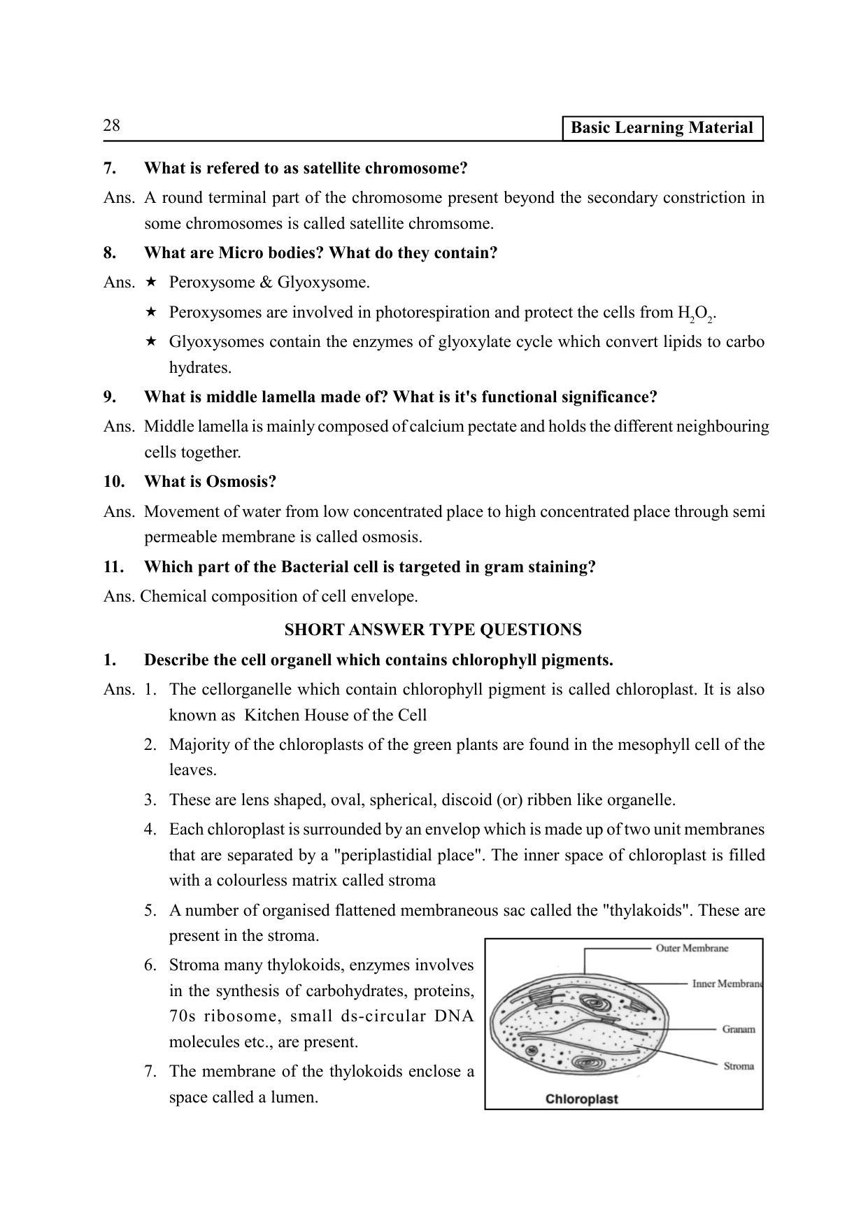 TS SCERT Inter 2nd Year Botany I EM Path 1 (Telugu Medium) Text Book - Page 33