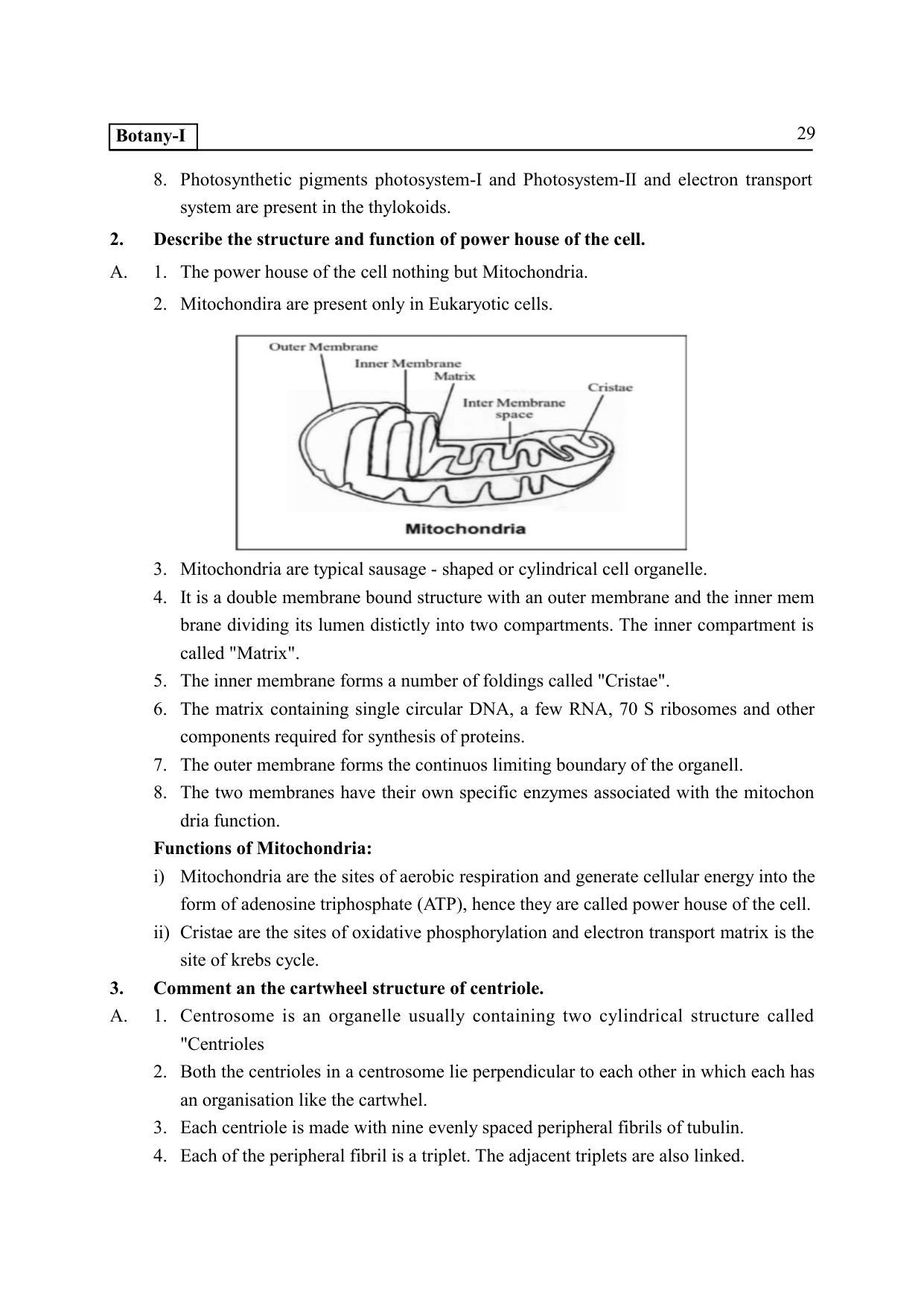 TS SCERT Inter 2nd Year Botany I EM Path 1 (Telugu Medium) Text Book - Page 34