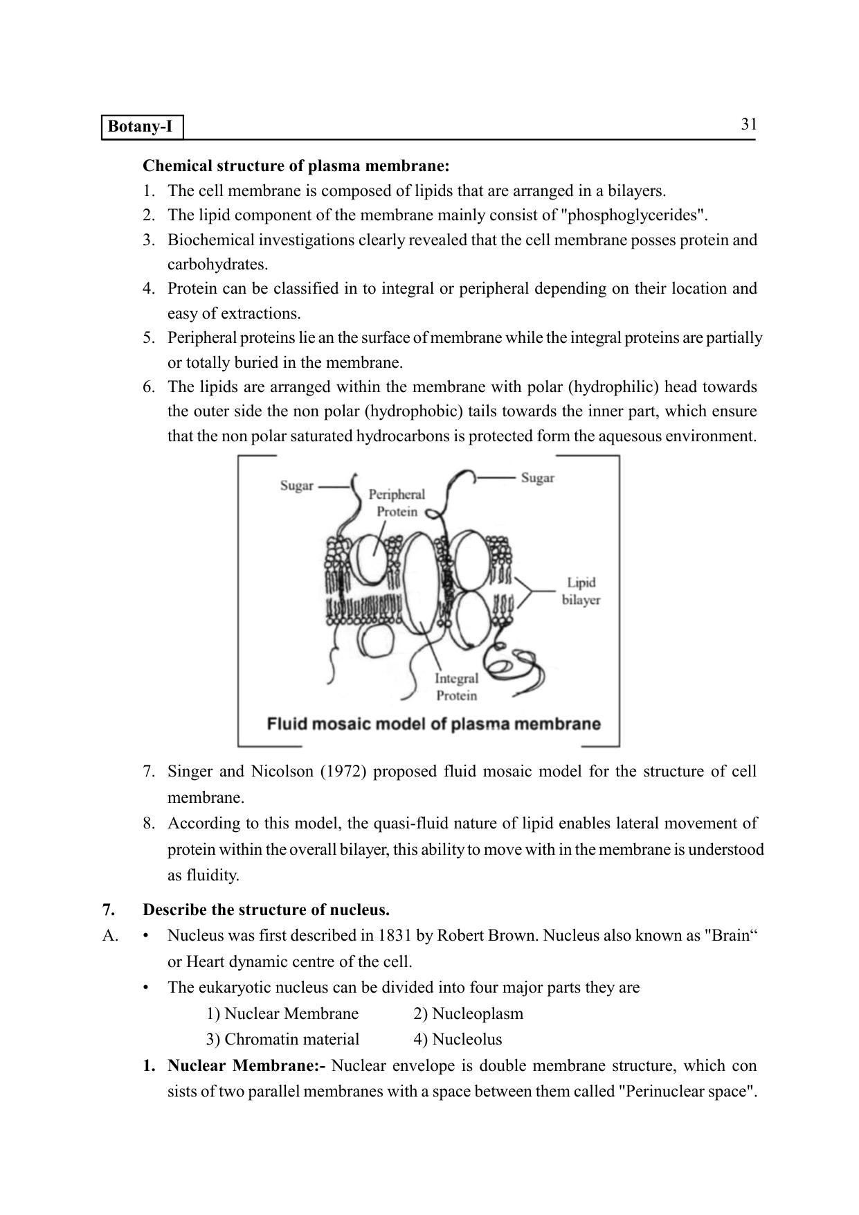TS SCERT Inter 2nd Year Botany I EM Path 1 (Telugu Medium) Text Book - Page 36