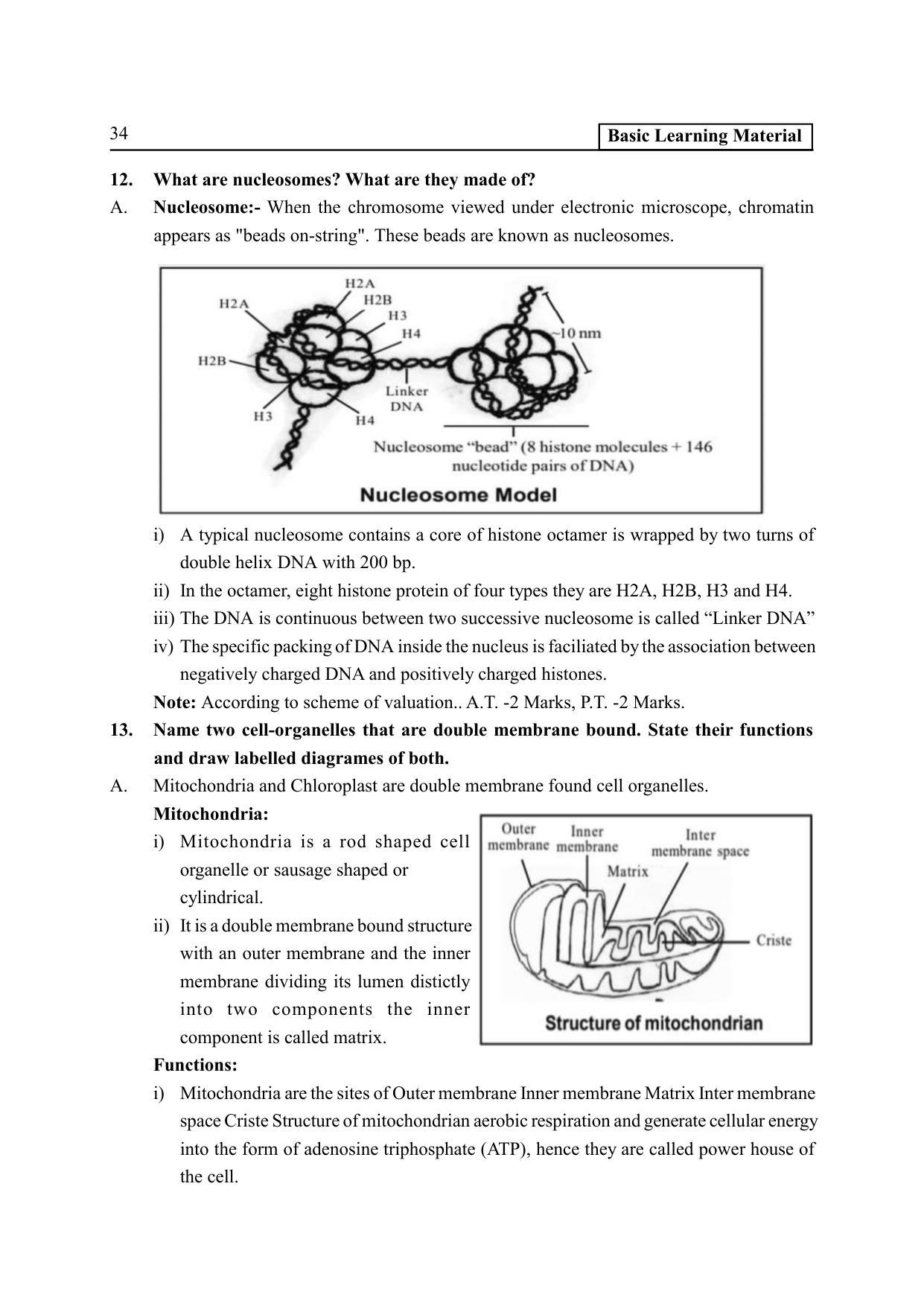 TS SCERT Inter 2nd Year Botany I EM Path 1 (Telugu Medium) Text Book - Page 39