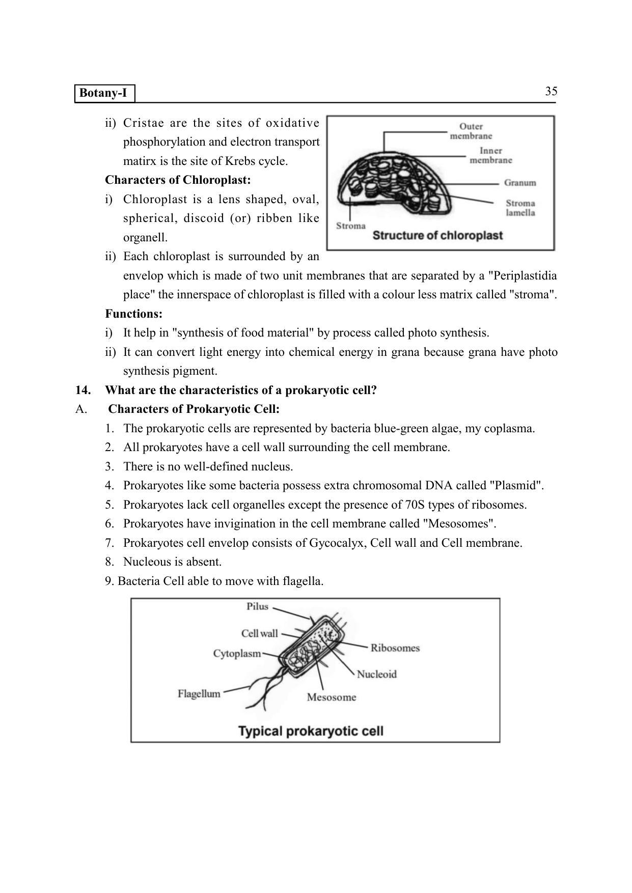 TS SCERT Inter 2nd Year Botany I EM Path 1 (Telugu Medium) Text Book - Page 40