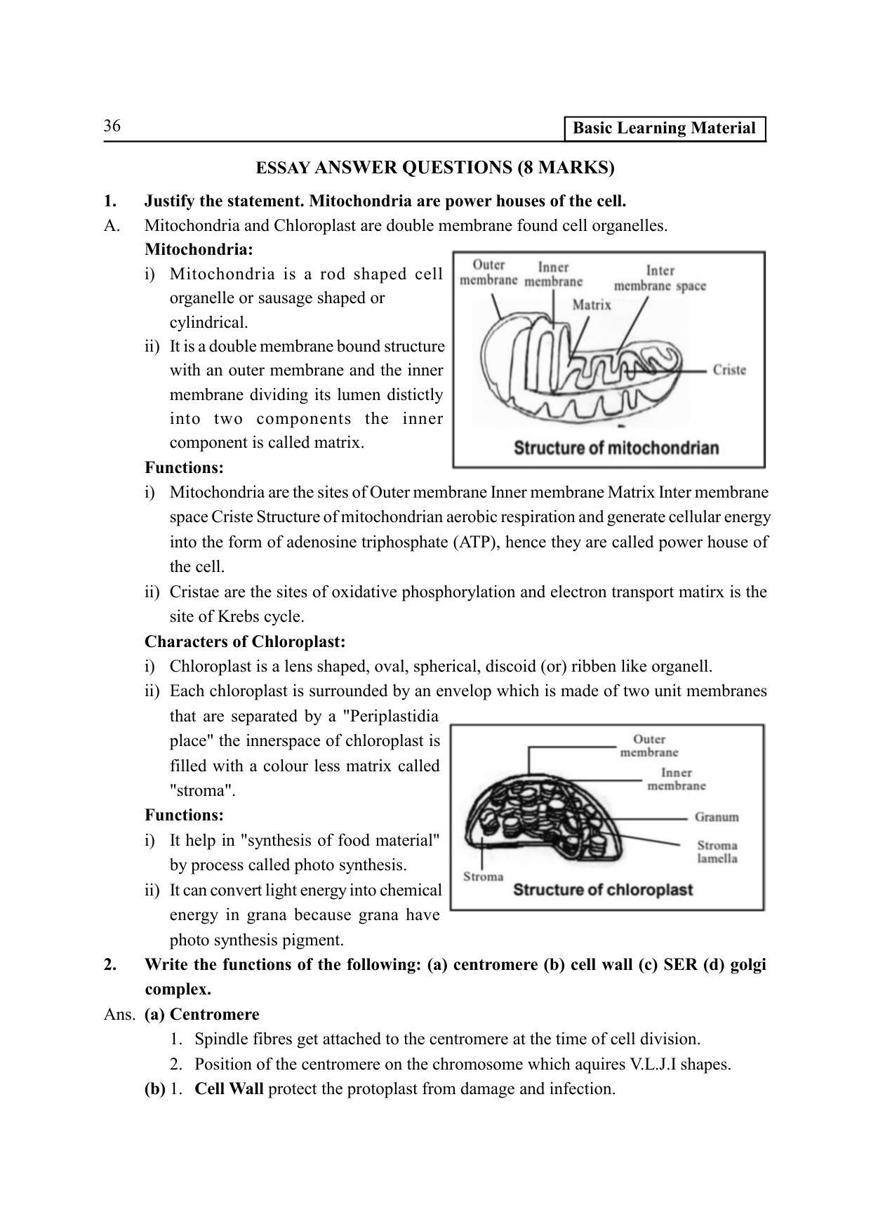 TS SCERT Inter 2nd Year Botany I EM Path 1 (Telugu Medium) Text Book - Page 41