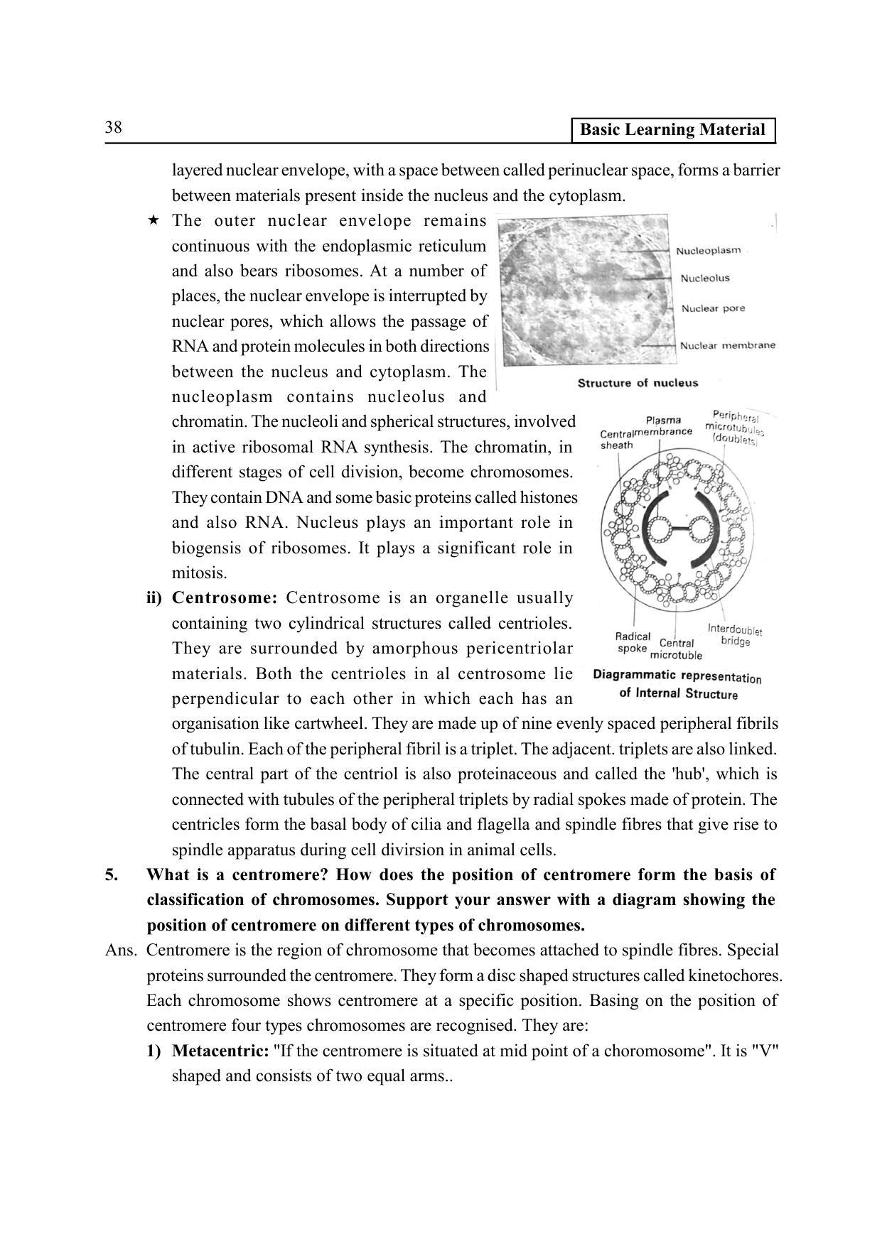 TS SCERT Inter 2nd Year Botany I EM Path 1 (Telugu Medium) Text Book - Page 43