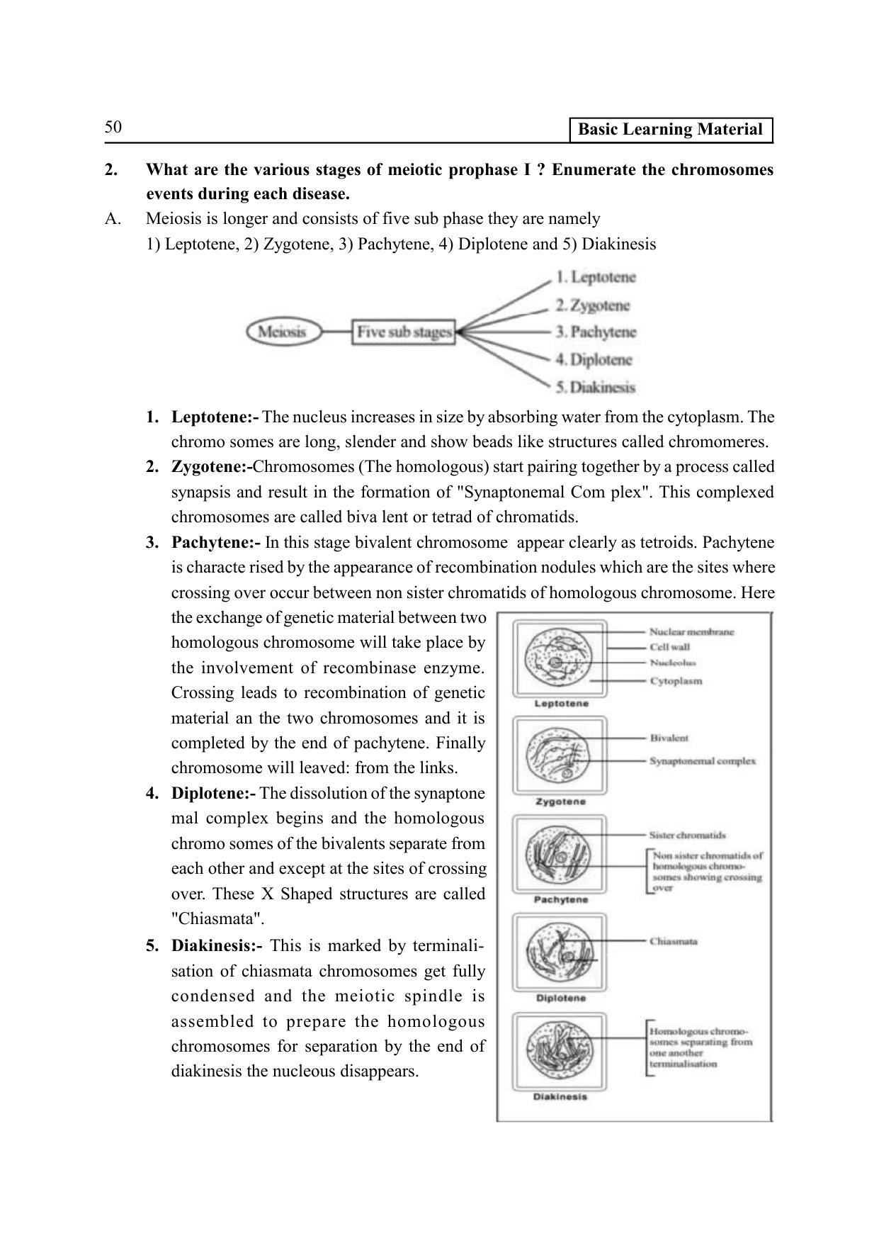 TS SCERT Inter 2nd Year Botany I EM Path 1 (Telugu Medium) Text Book - Page 55