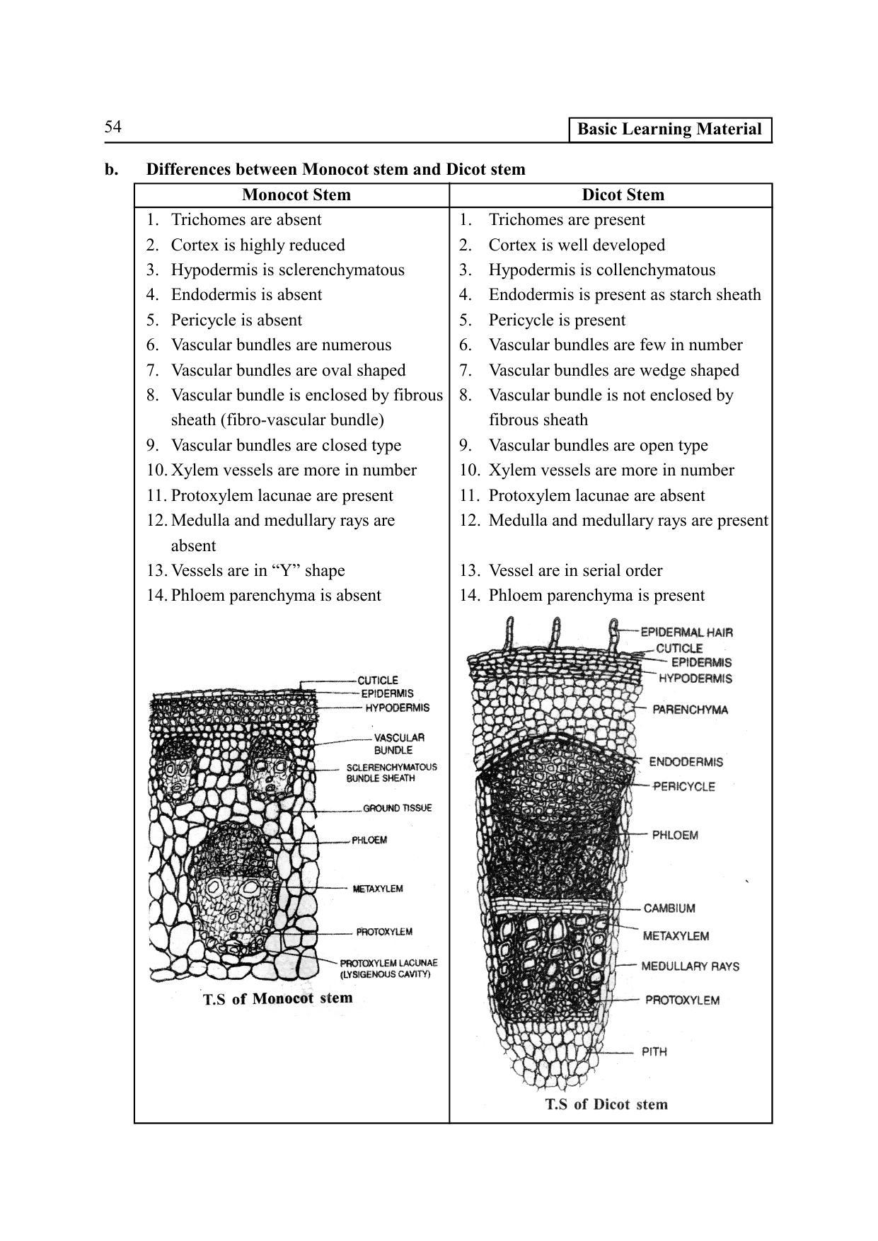 TS SCERT Inter 2nd Year Botany I EM Path 1 (Telugu Medium) Text Book - Page 59