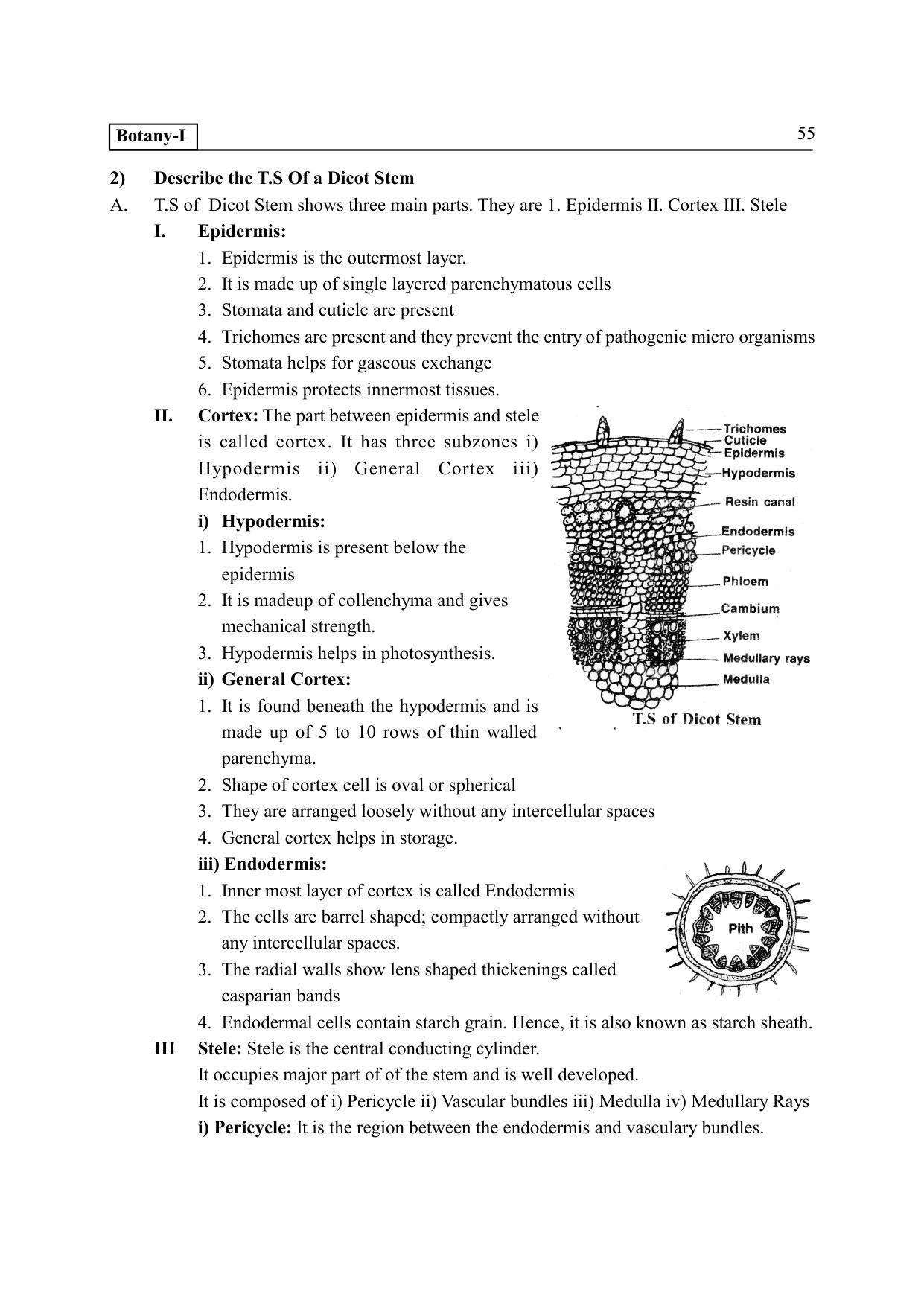 TS SCERT Inter 2nd Year Botany I EM Path 1 (Telugu Medium) Text Book - Page 60