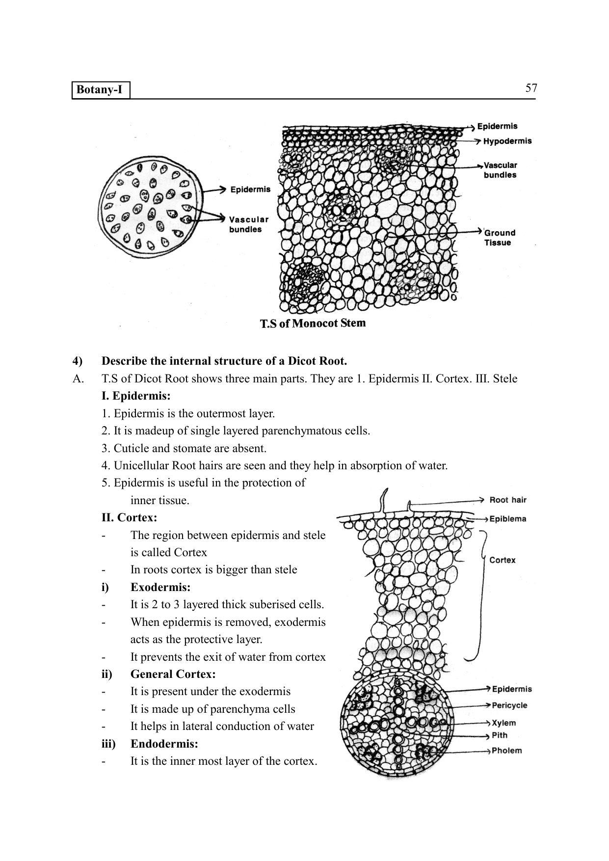 TS SCERT Inter 2nd Year Botany I EM Path 1 (Telugu Medium) Text Book - Page 62