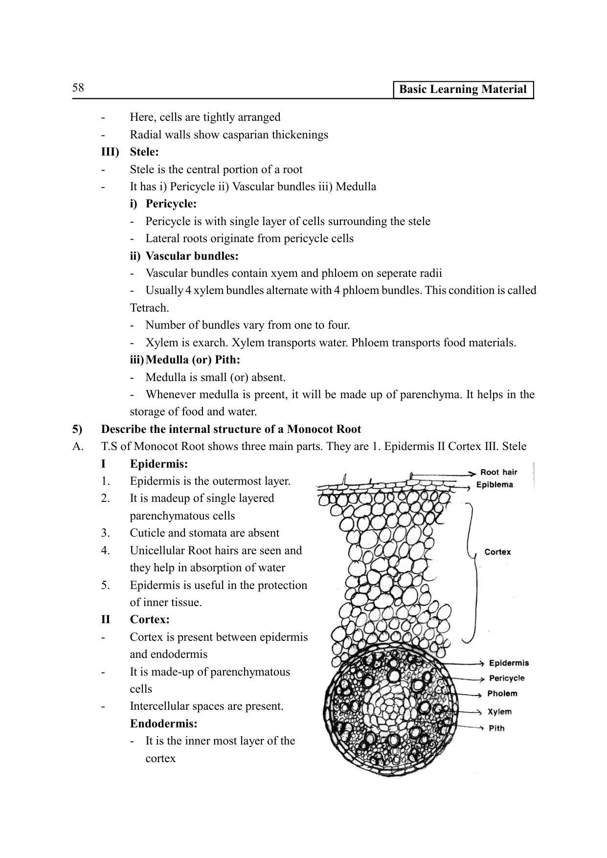 TS SCERT Inter 2nd Year Botany I EM Path 1 (Telugu Medium) Text Book - Page 63