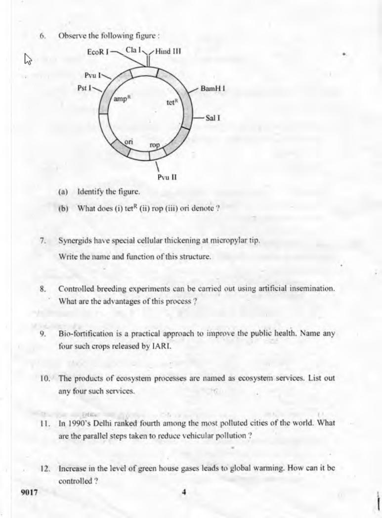Kerala Plus Two 2018 Biology Question paper - Page 4