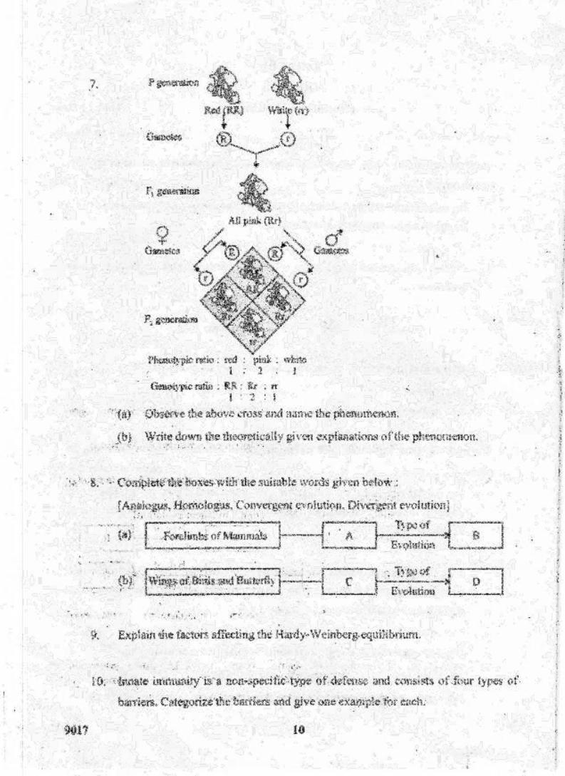 Kerala Plus Two 2018 Biology Question paper - Page 10