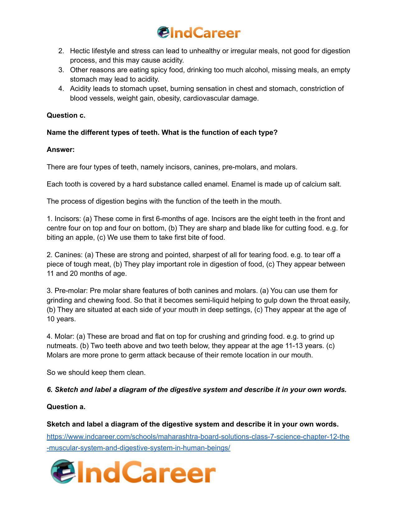 Maharashtra Board Solutions Class 7-Science: Chapter 12- The Muscular System and Digestive System in Human Beings - Page 7
