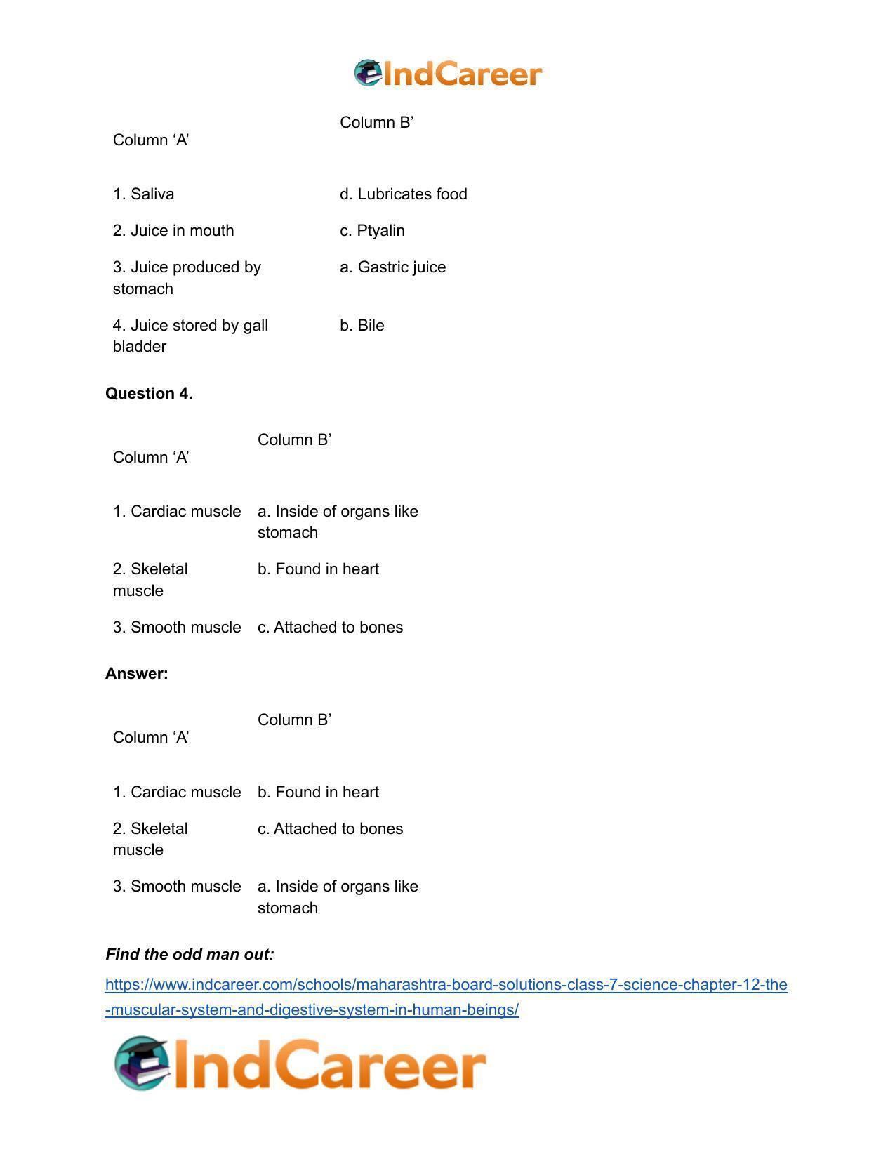 Maharashtra Board Solutions Class 7-Science: Chapter 12- The Muscular System and Digestive System in Human Beings - Page 16