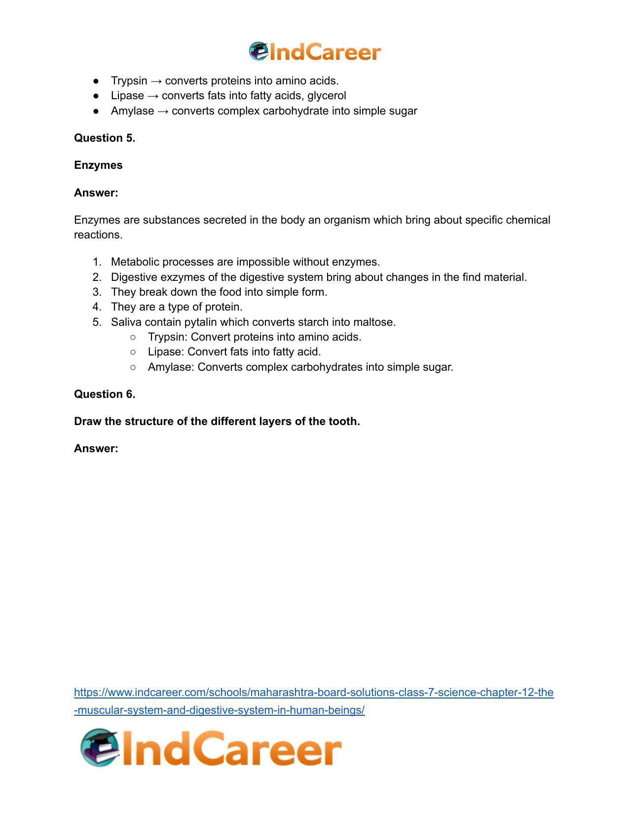 Maharashtra Board Solutions Class 7-Science: Chapter 12- The Muscular System and Digestive System in Human Beings - Page 21