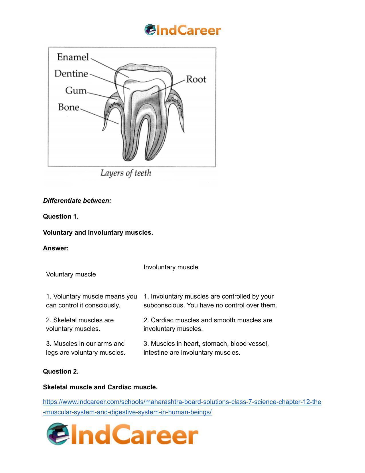 Maharashtra Board Solutions Class 7-Science: Chapter 12- The Muscular System and Digestive System in Human Beings - Page 22