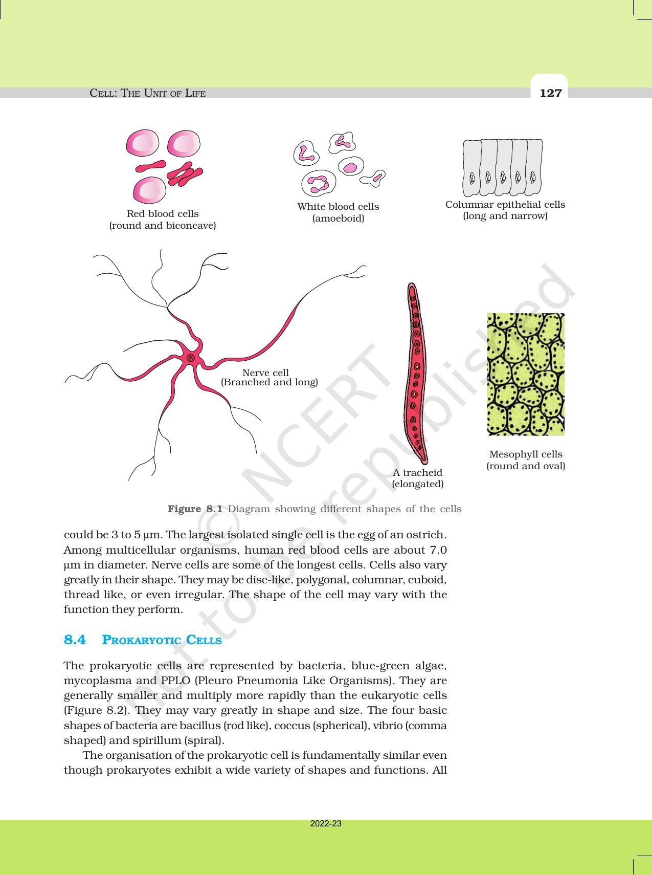 NCERT Book for Class 11 Biology Chapter 8 Cell: The Unit of Life - Page 5