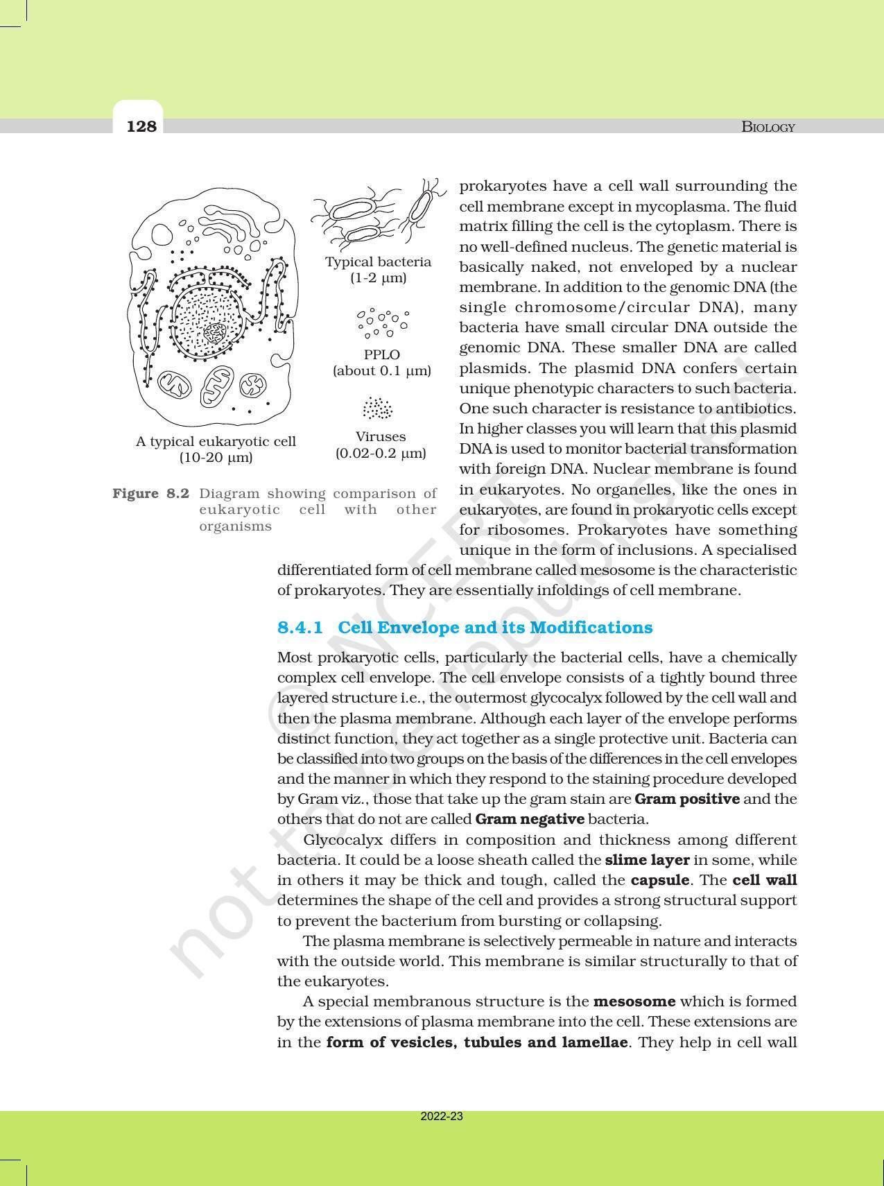 NCERT Book for Class 11 Biology Chapter 8 Cell: The Unit of Life - Page 6