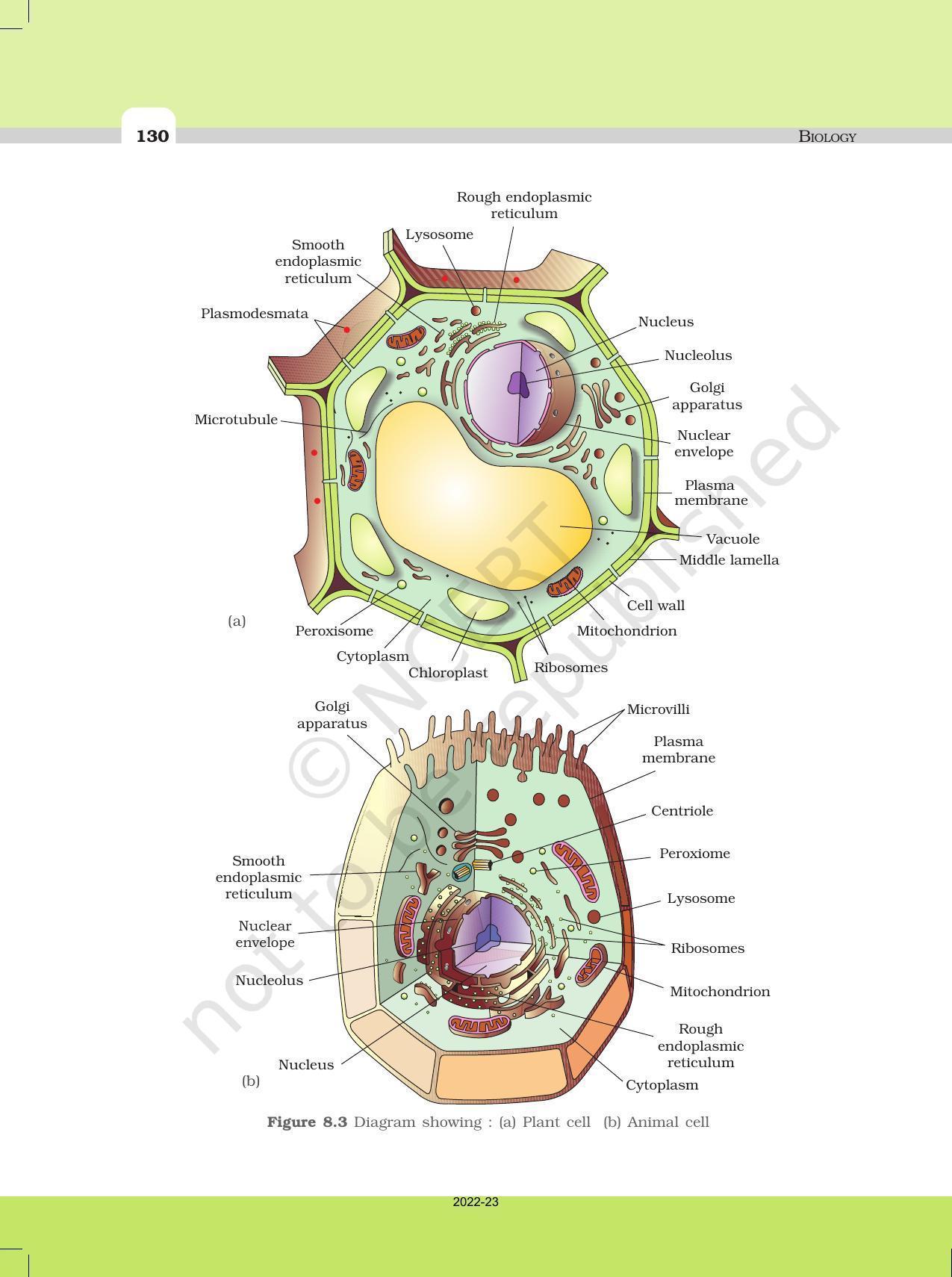 NCERT Book for Class 11 Biology Chapter 8 Cell: The Unit of Life - Page 8