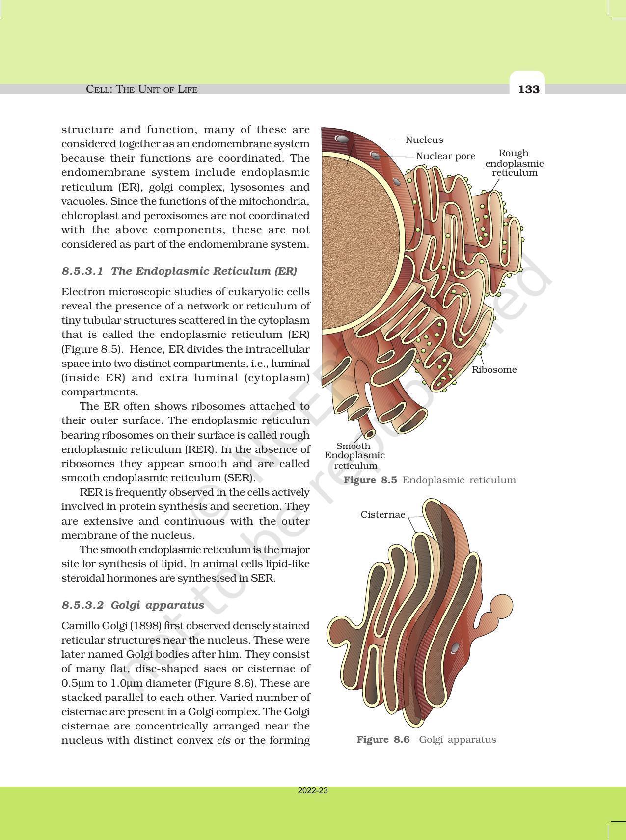 NCERT Book for Class 11 Biology Chapter 8 Cell: The Unit of Life - Page 11