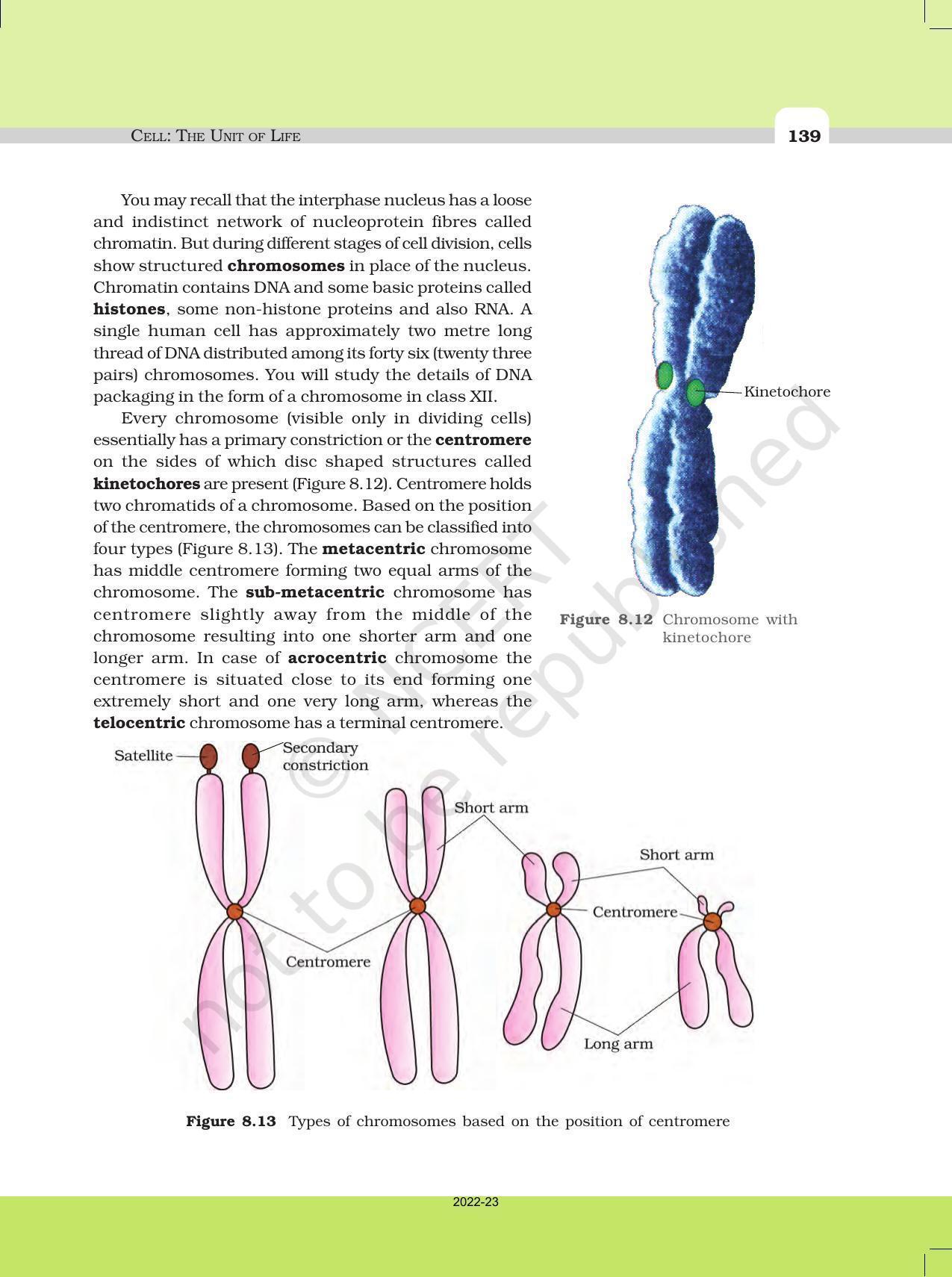 NCERT Book for Class 11 Biology Chapter 8 Cell: The Unit of Life - Page 17