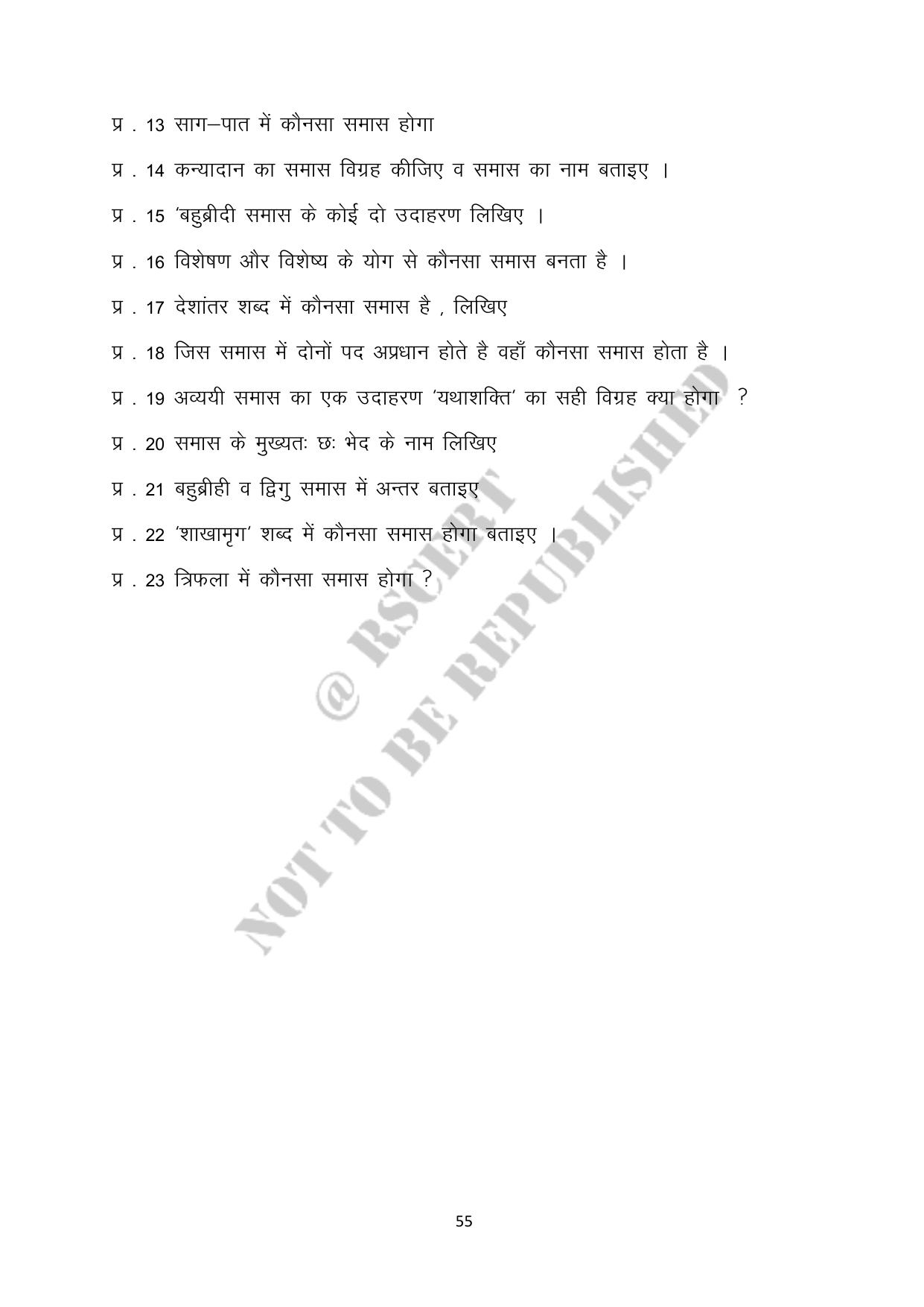 RBSE 2023 Class 10 Hindi Question Bank - Page 55