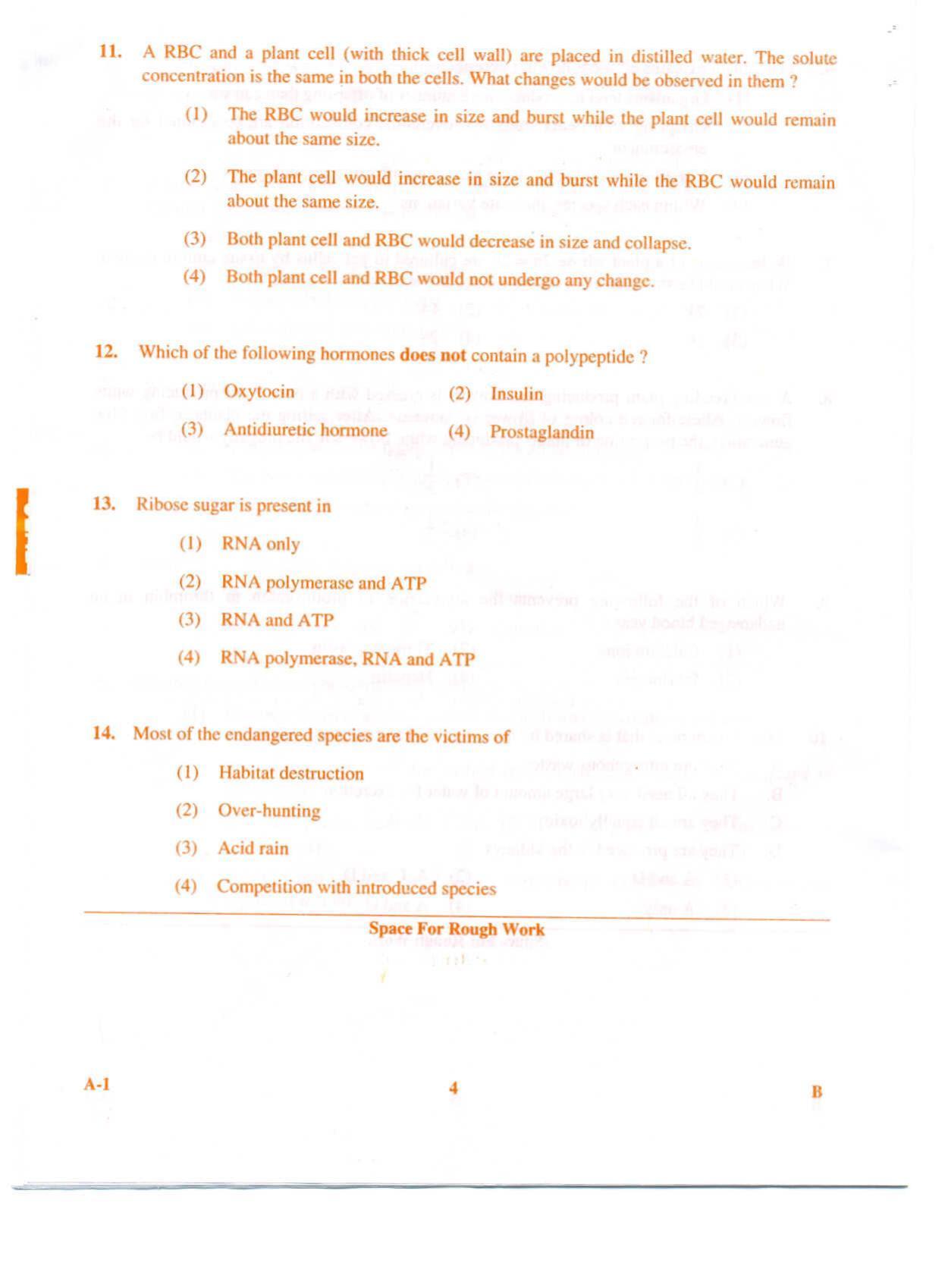 KCET Biology 2009 Question Papers - Page 4