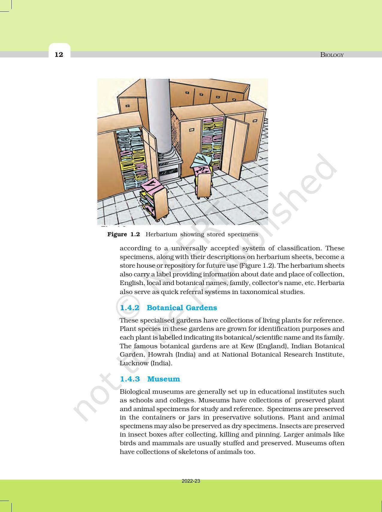 NCERT Book for Class 11 Biology Chapter 1 Diversity in the Living World - Page 12