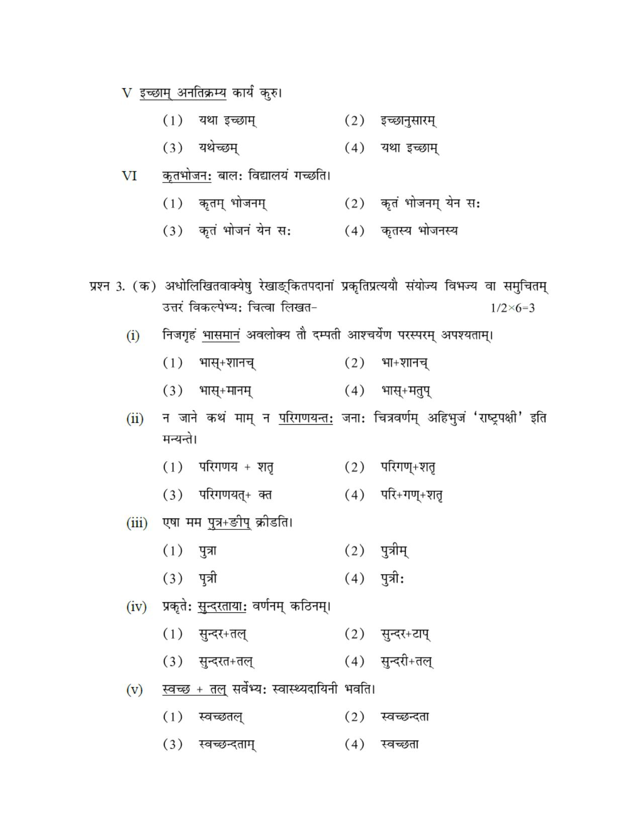 CBSE Worksheets for Class 10 Sanskrit Assignment 10 - Page 4