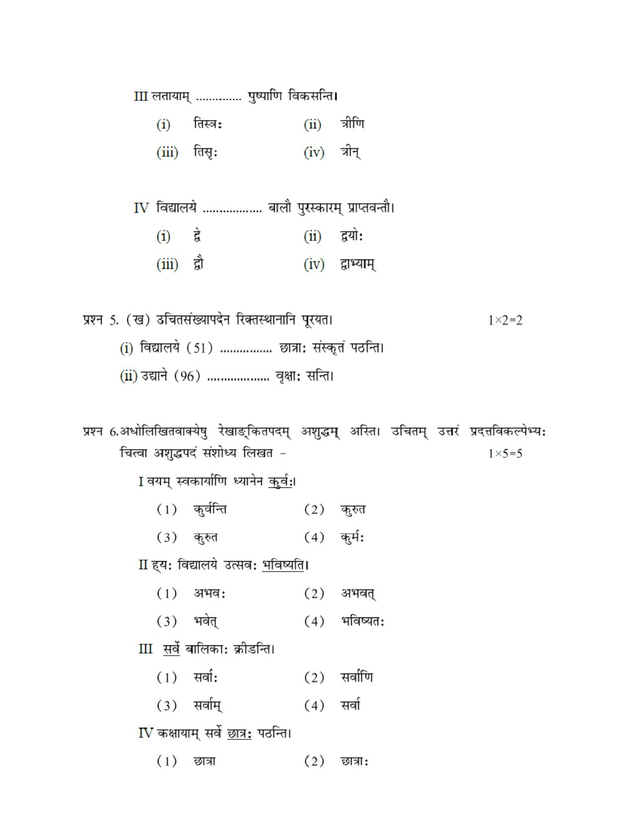 CBSE Worksheets for Class 10 Sanskrit Assignment 10 - Page 6