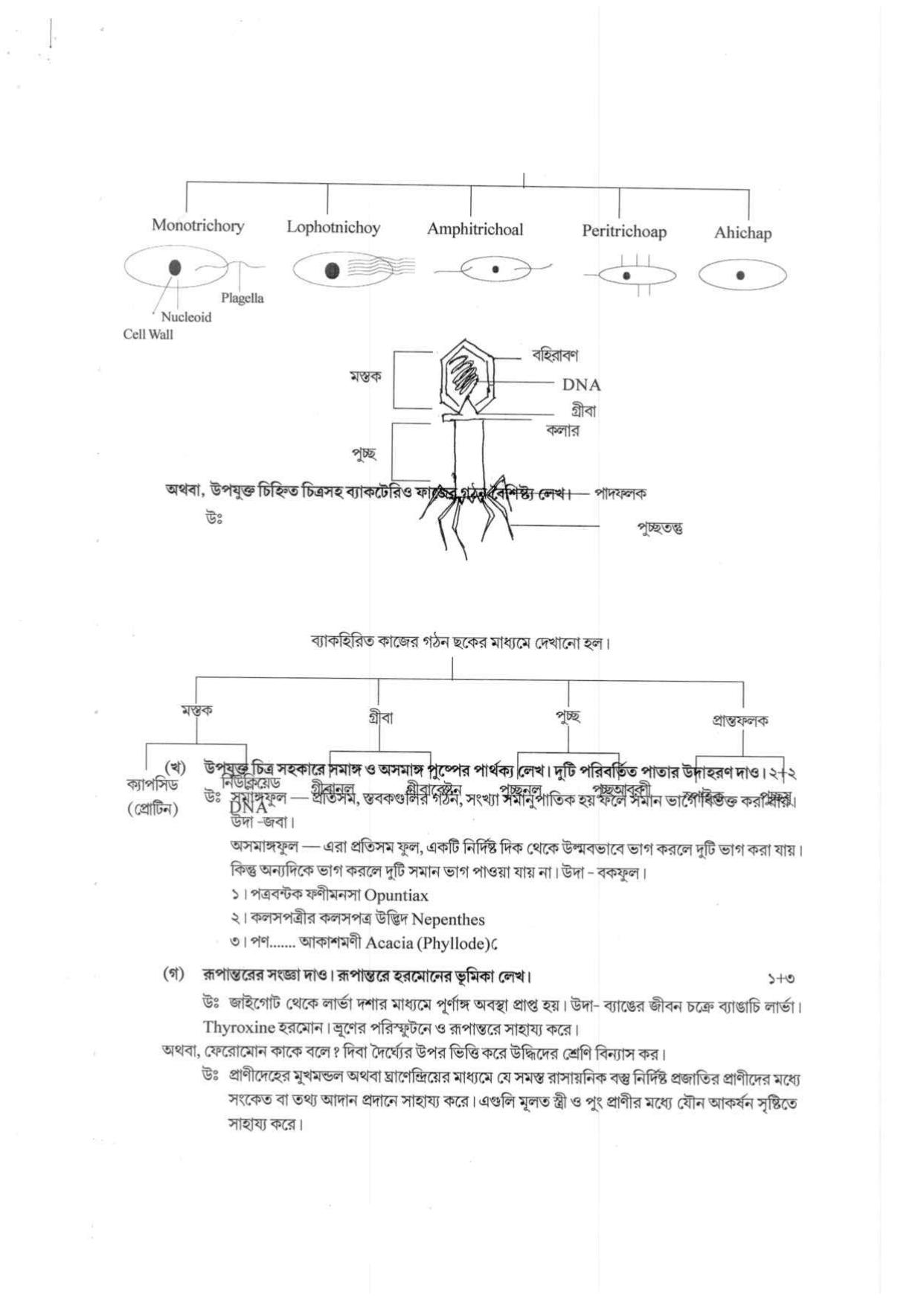 West Bengal Board Class 12 Biological Science 2020 Question Paper - Page 17